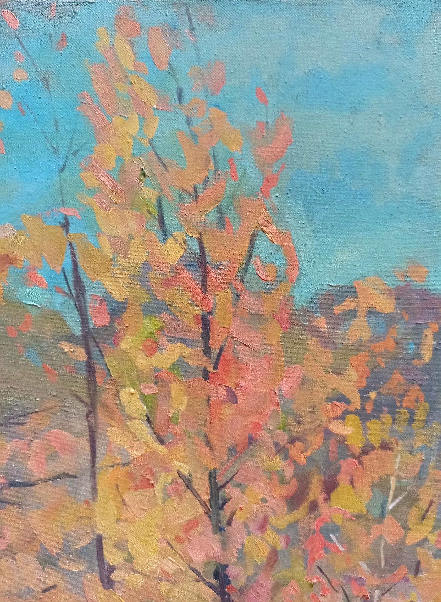 Landscape