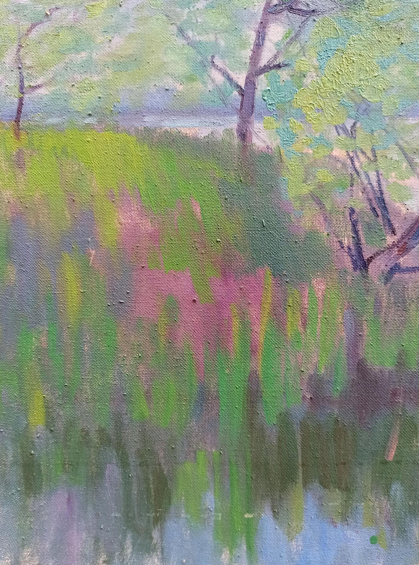 River Nature Landscape