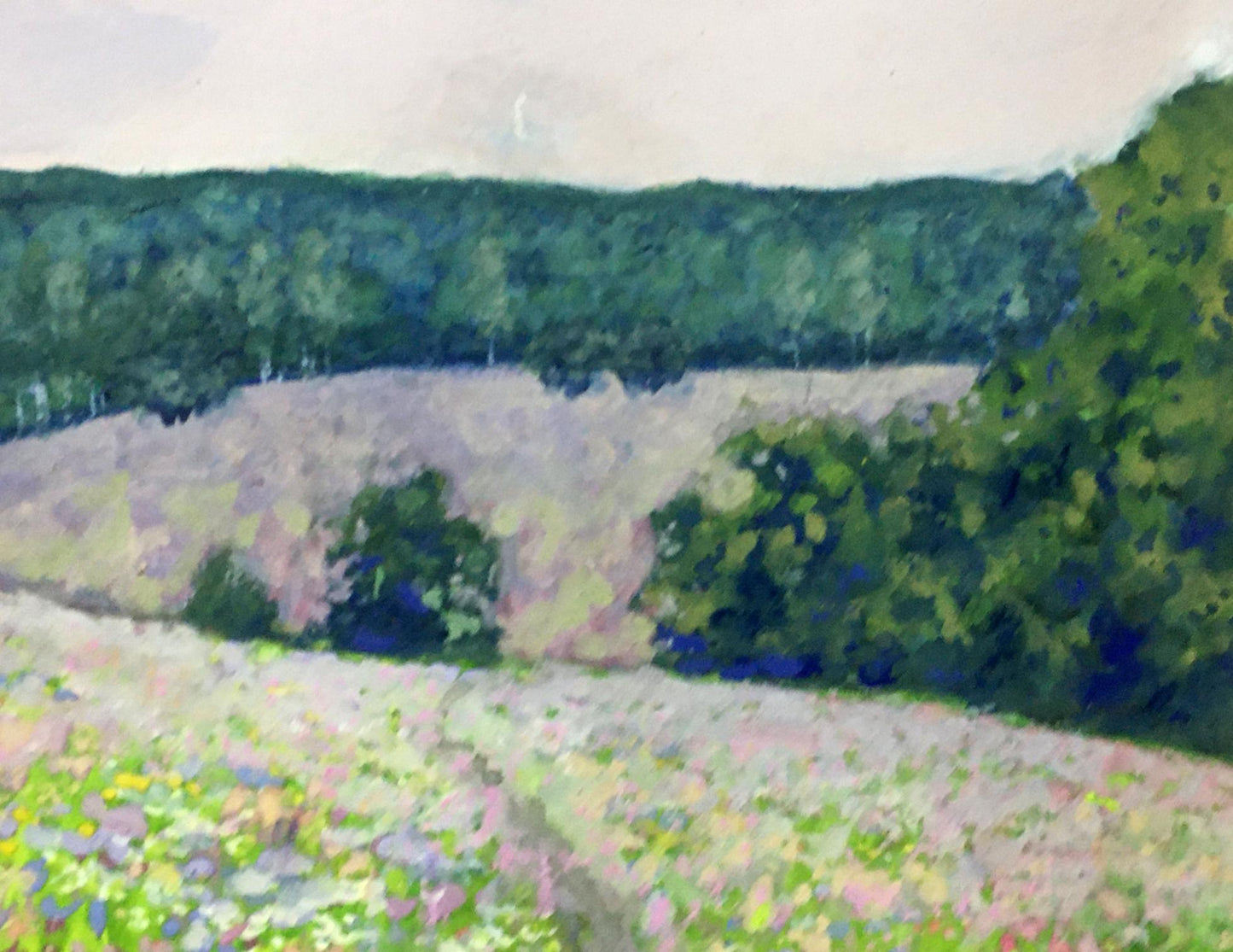 Watercolor painting Flower field Ivan Kirillovich Tsyupka