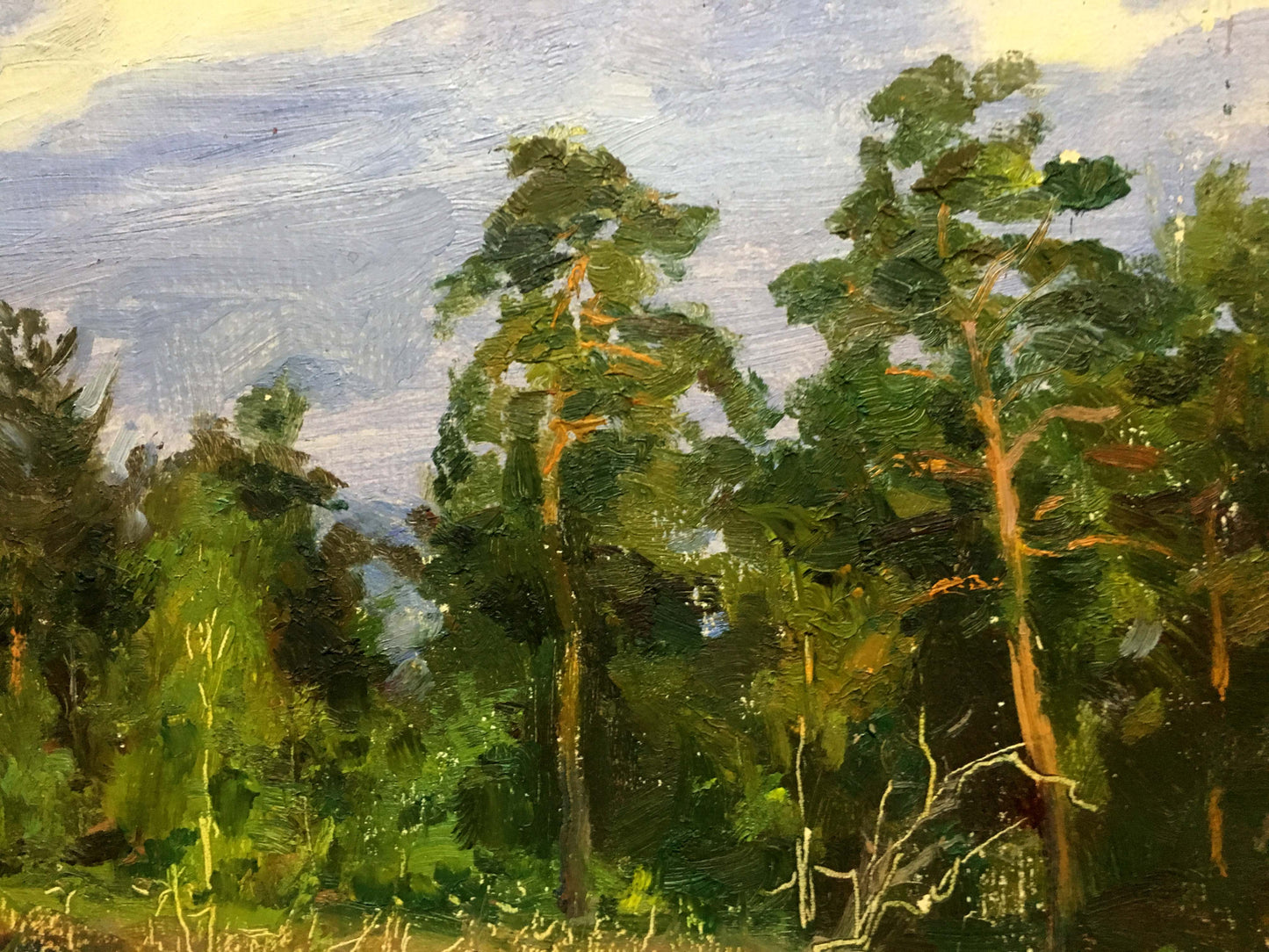 Morning oil painting Viktor Mikhailichenko