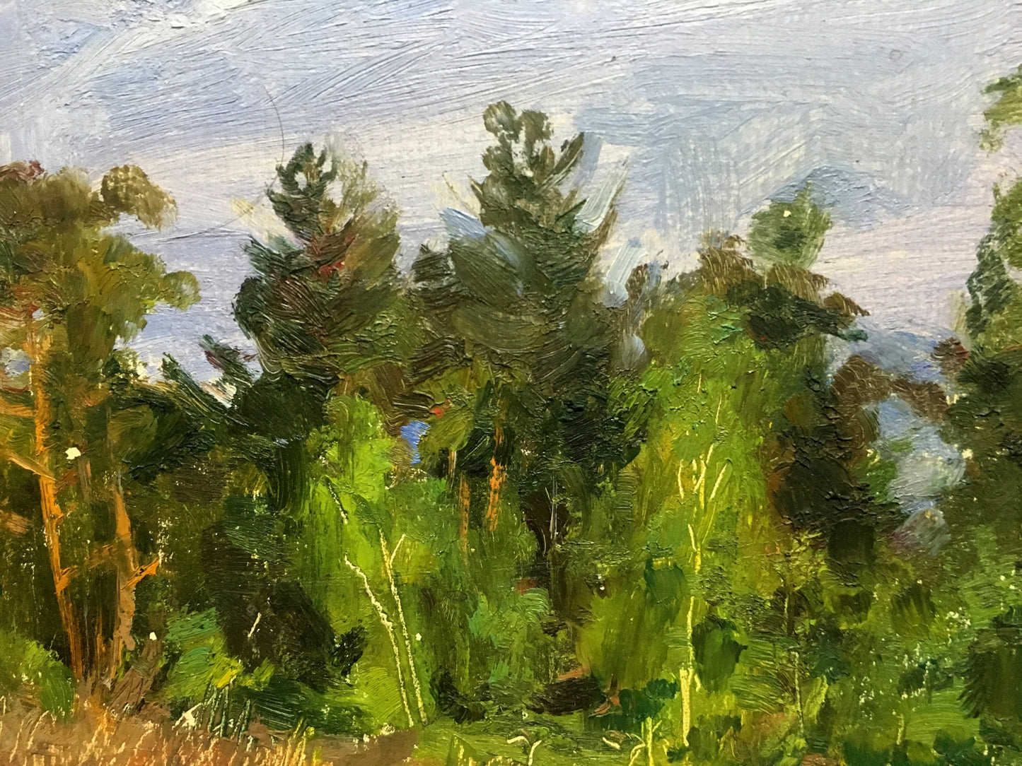 Morning oil painting Viktor Mikhailichenko