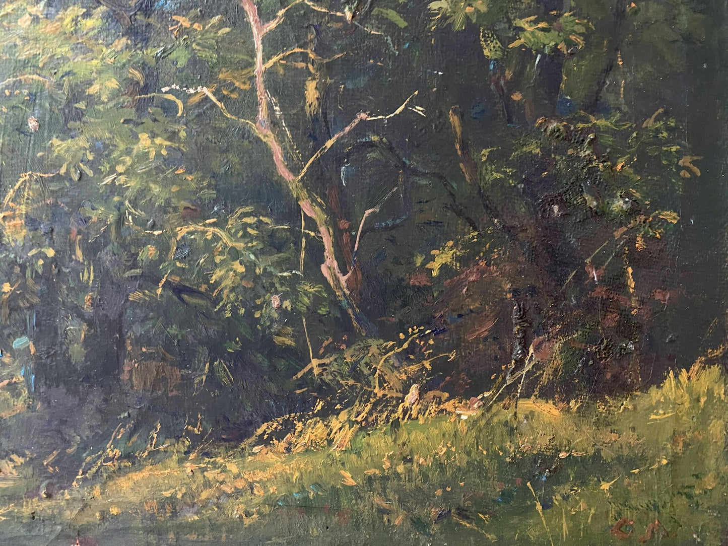 oil forest landscape