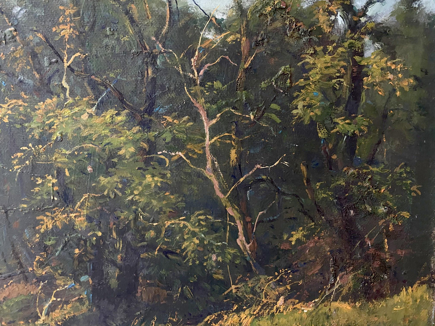 forest landscape art