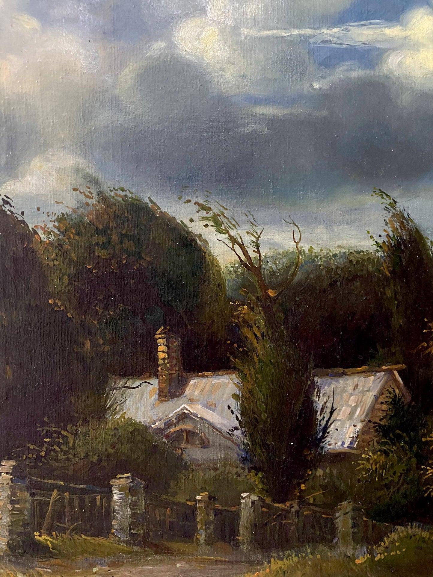 oil forest summer landscape