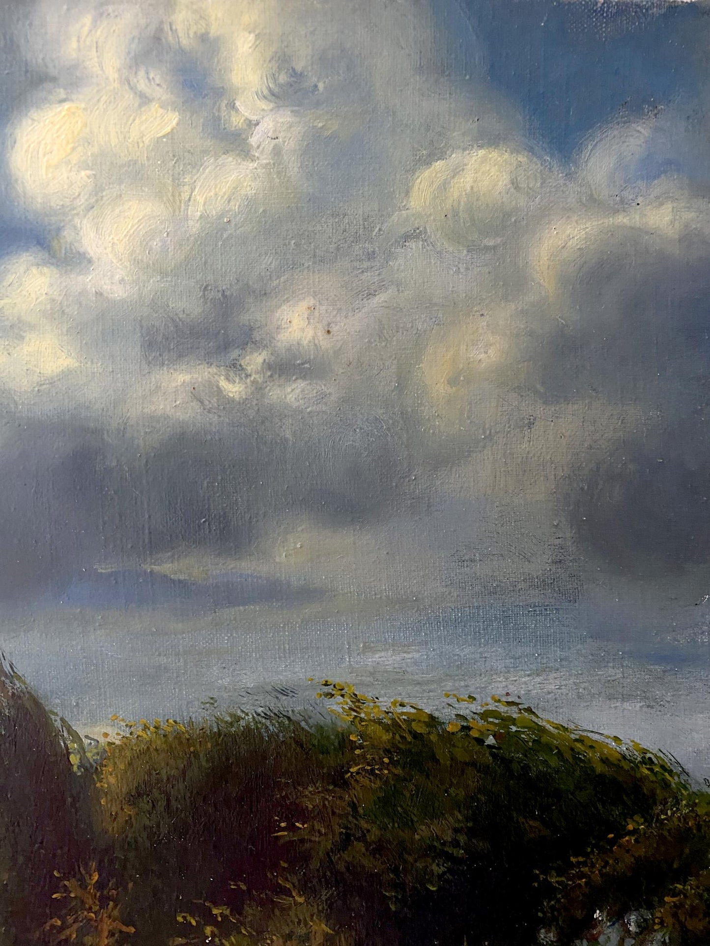 oil nature painting