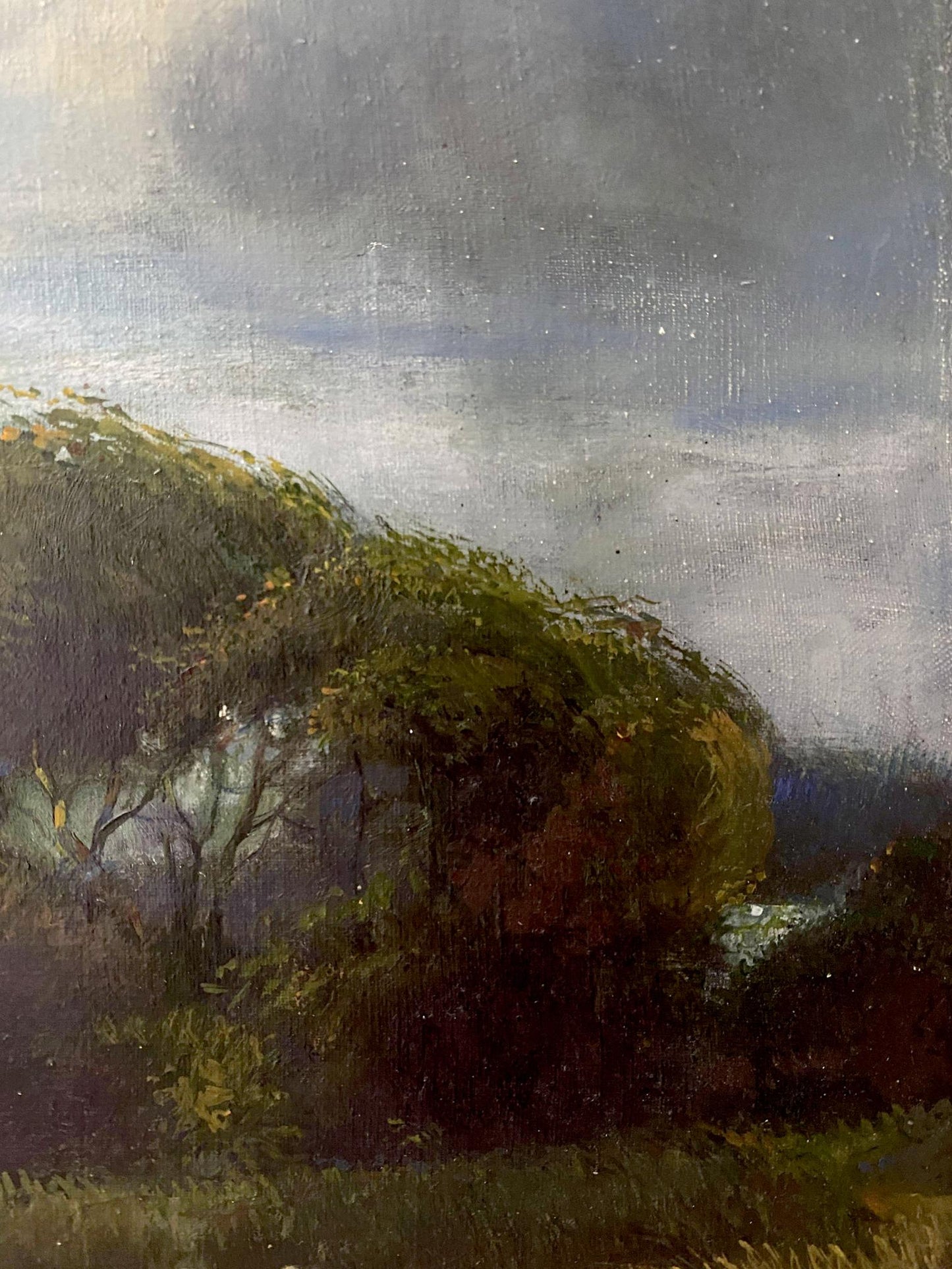oil summer forest