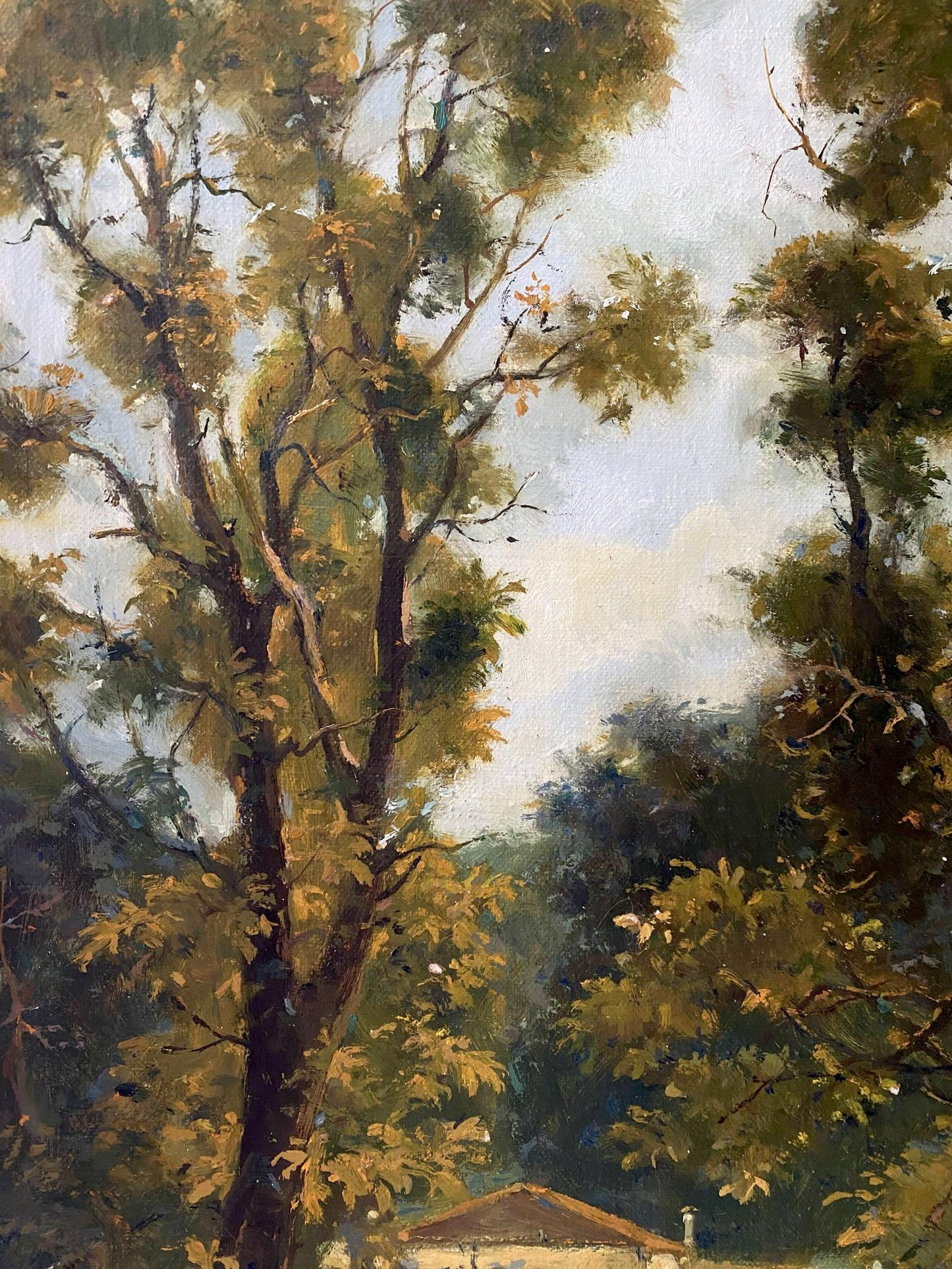 oil forest landscape