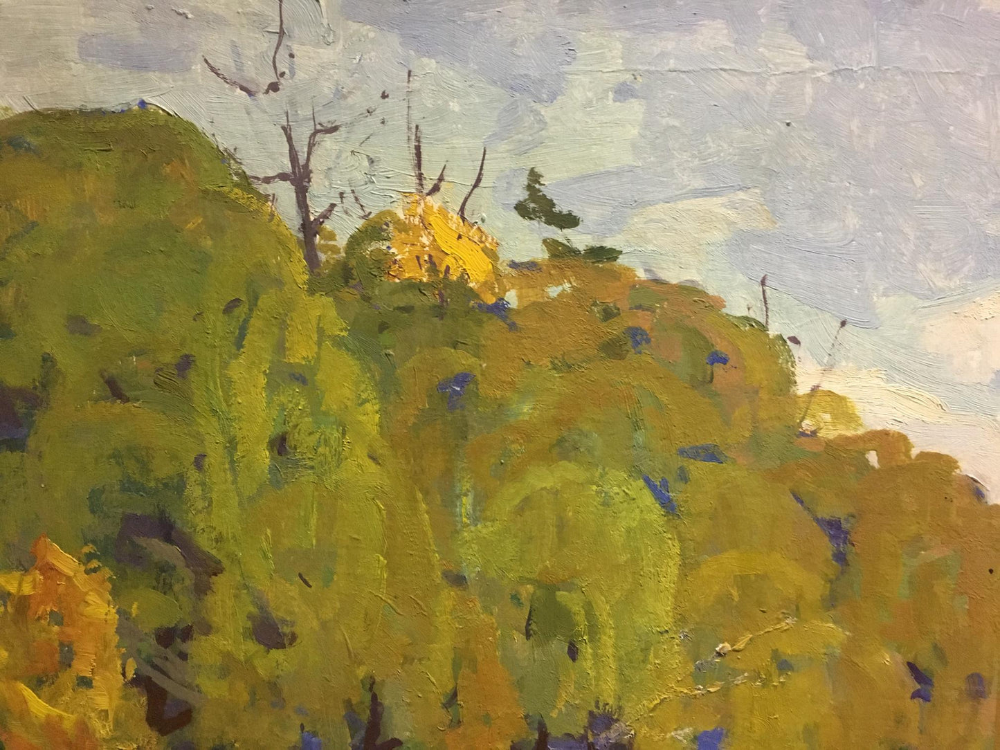 Oil painting River landscape Vladimir Korostelev