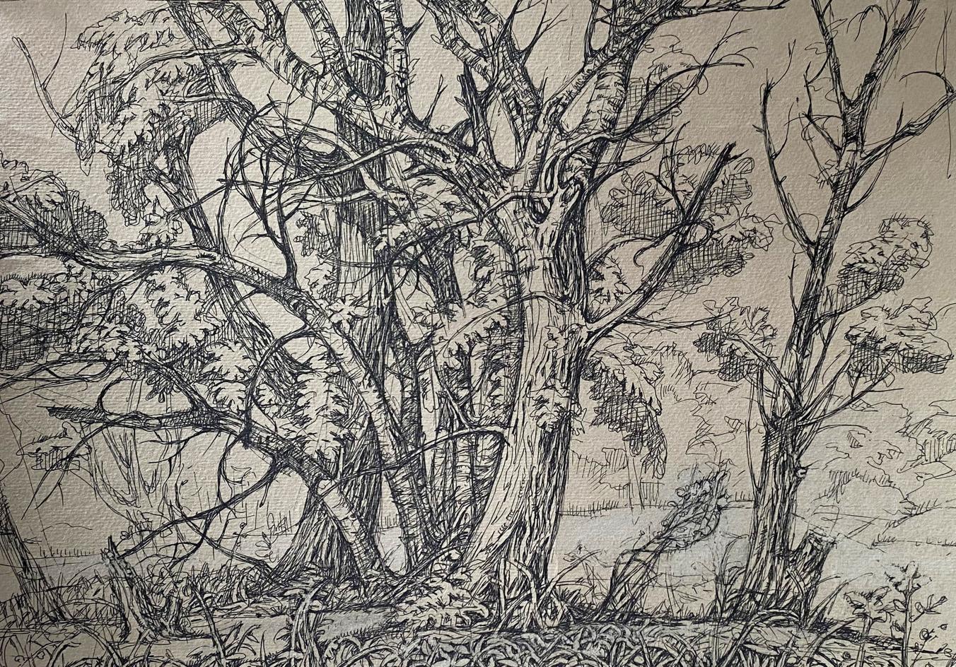 Ink painting Trees Litvinov Oleg Arkad'yevich