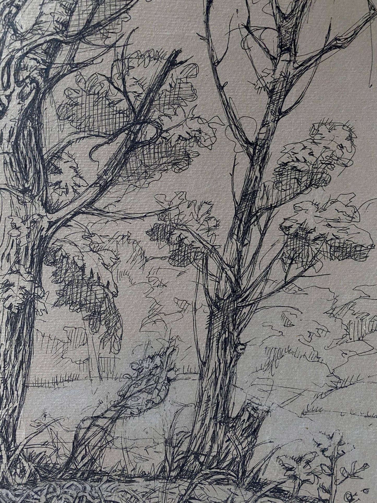 Ink painting Trees Litvinov Oleg Arkad'yevich