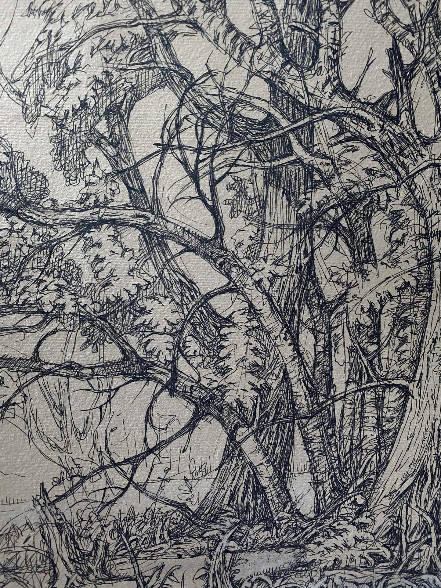 Ink painting Trees Litvinov Oleg Arkad'yevich