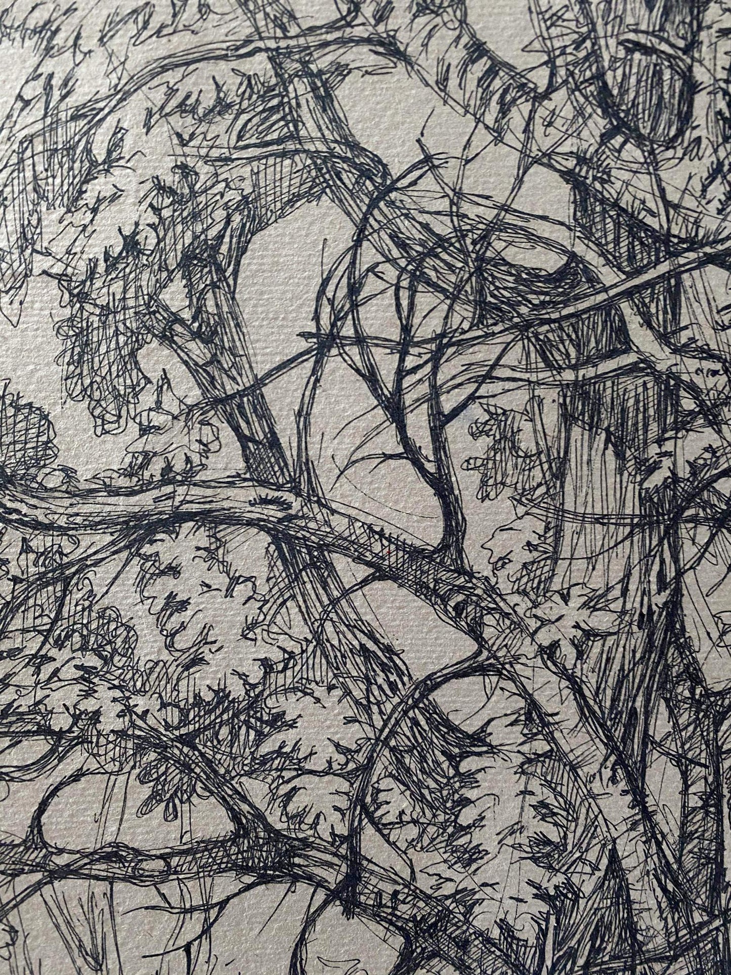 Ink painting Trees Litvinov Oleg Arkad'yevich