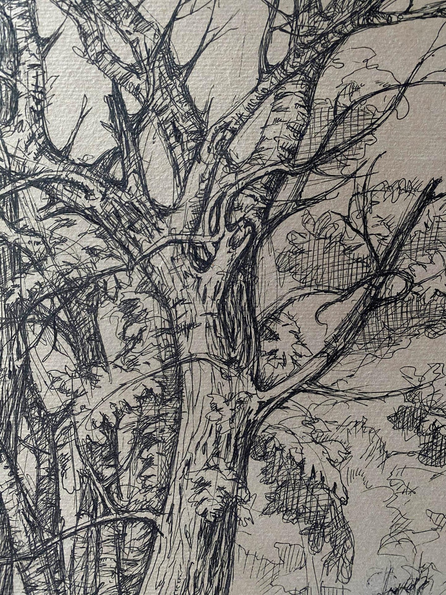 Ink painting Trees Litvinov Oleg Arkad'yevich