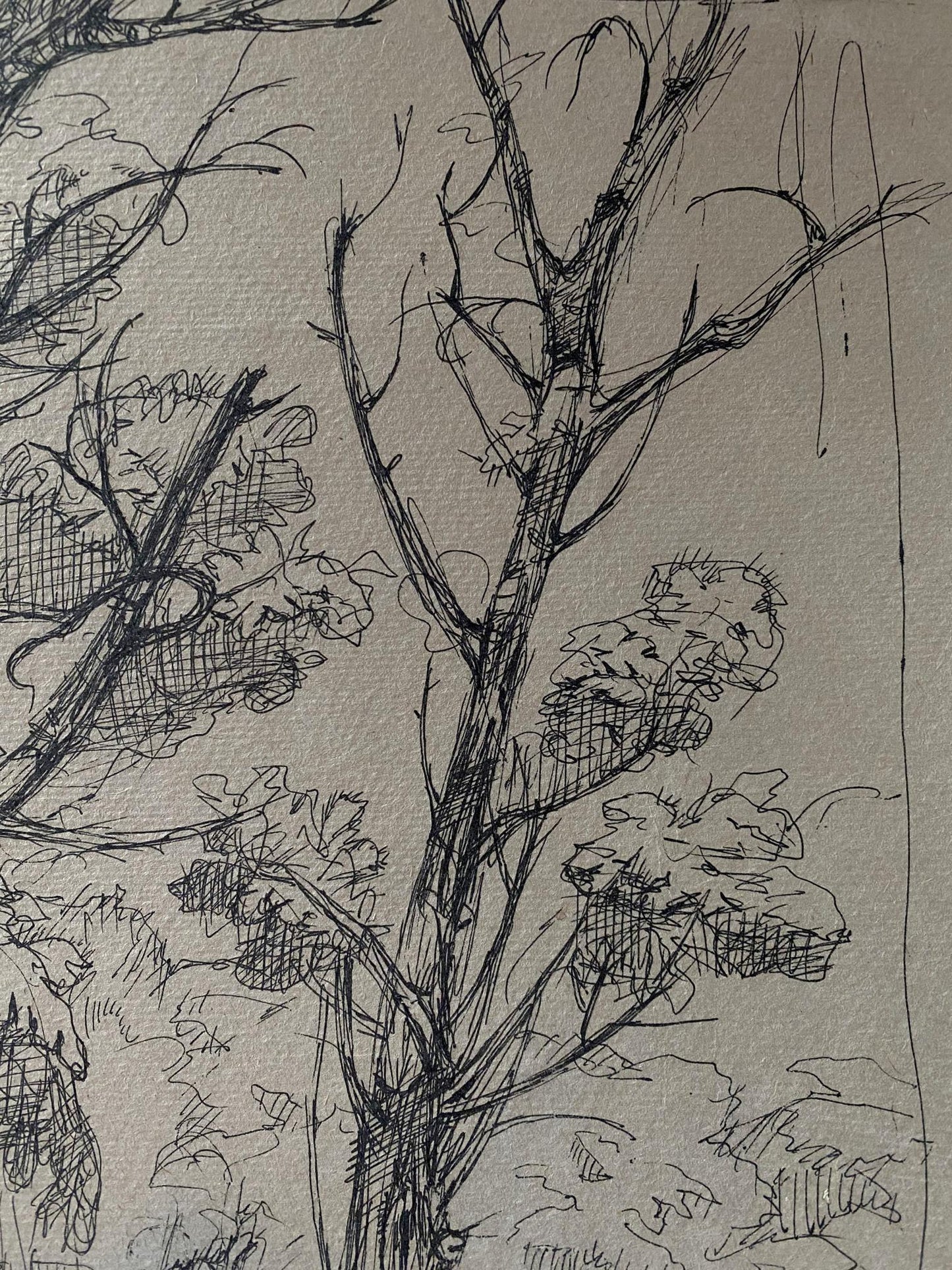 Ink painting Trees Litvinov Oleg Arkad'yevich