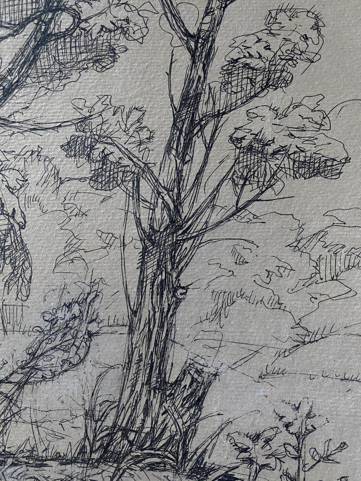Ink painting Trees Litvinov Oleg Arkad'yevich