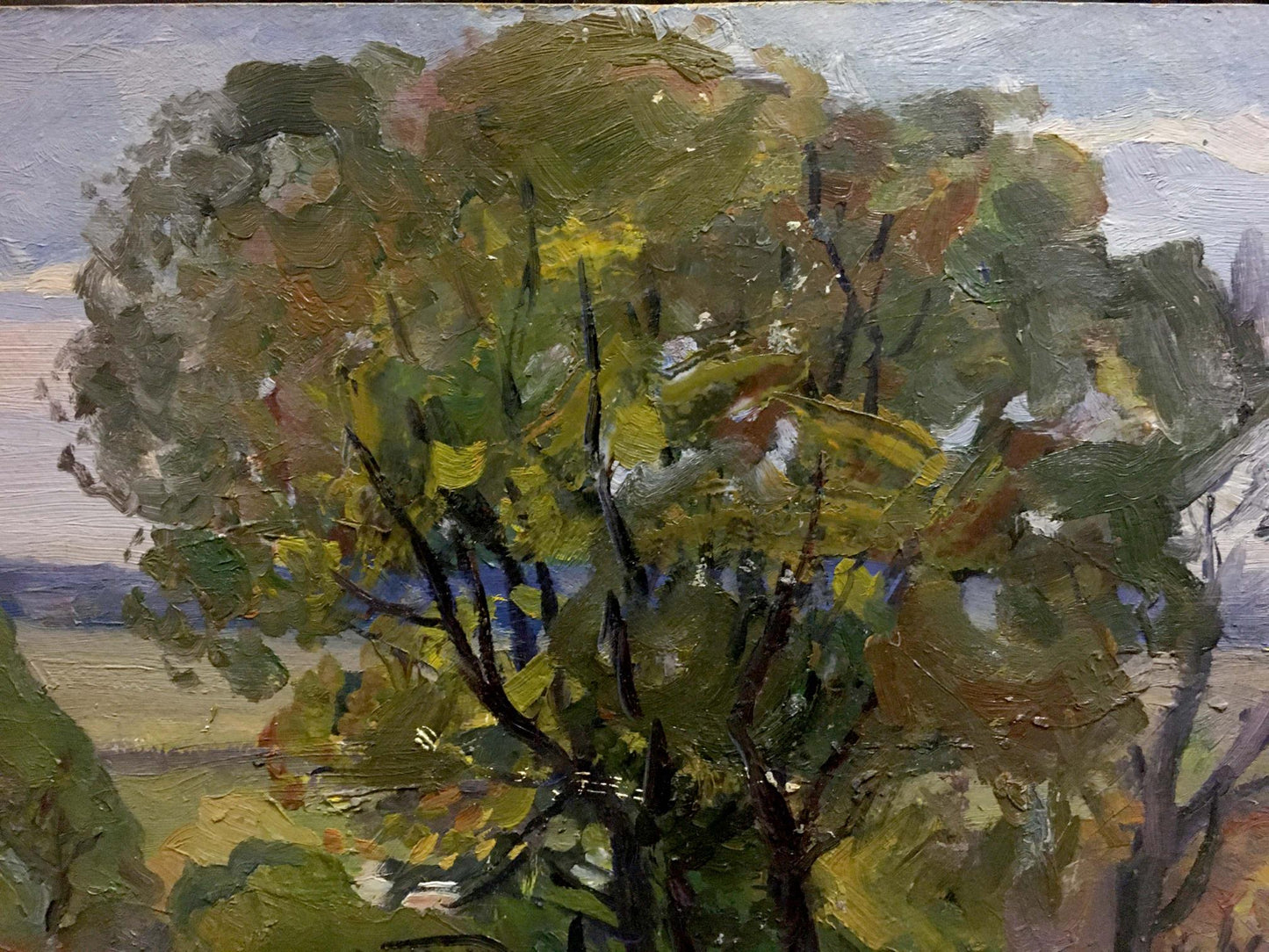Oil painting Old big tree Unknown artist