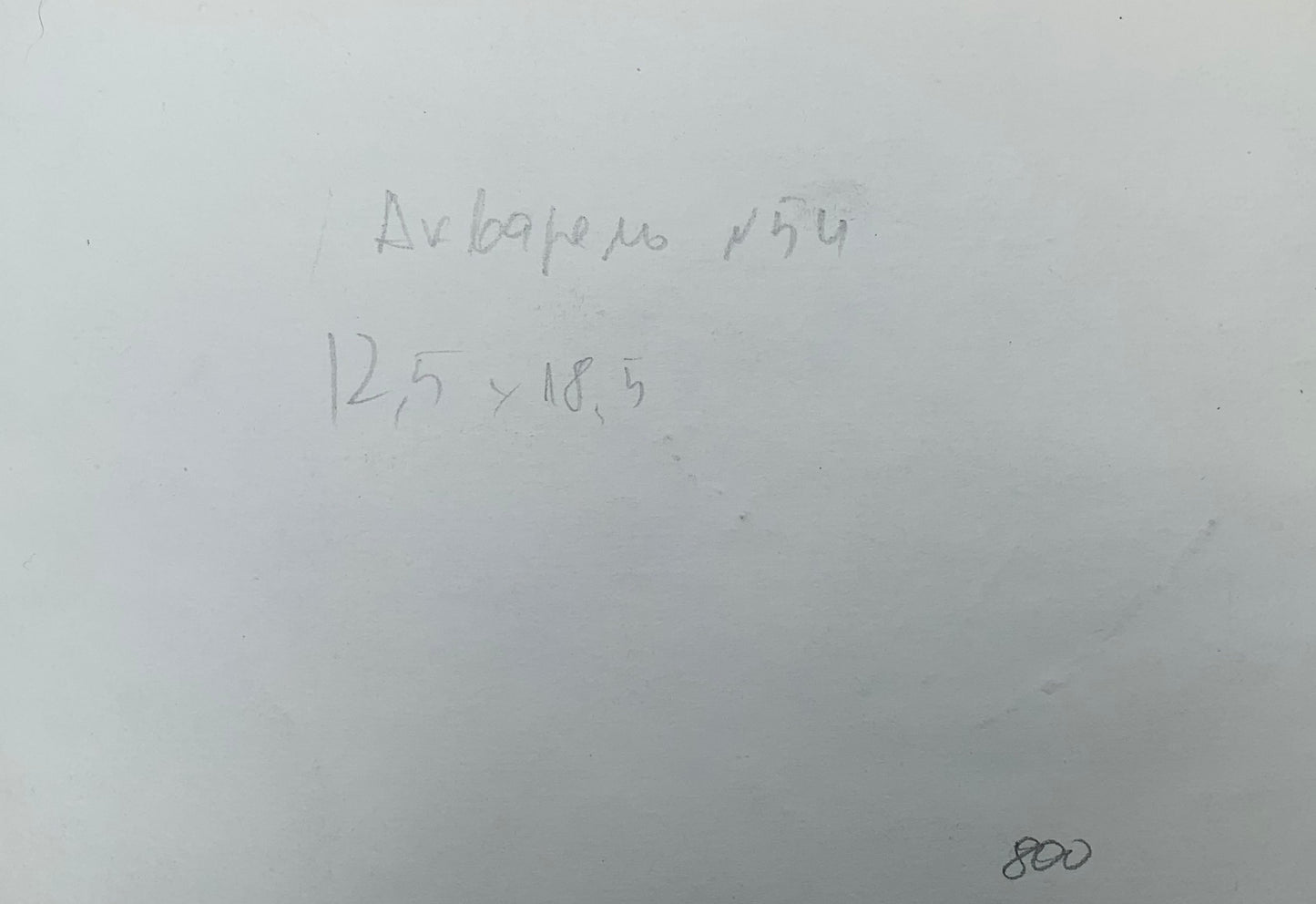 Watercolor painting House on the shore Viktor Mikhailichenko