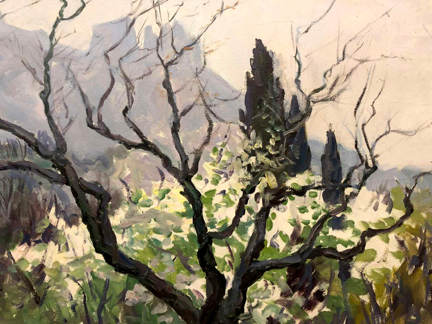 Oil painting Spring in Alupka Basov Yakov Alexandrovich