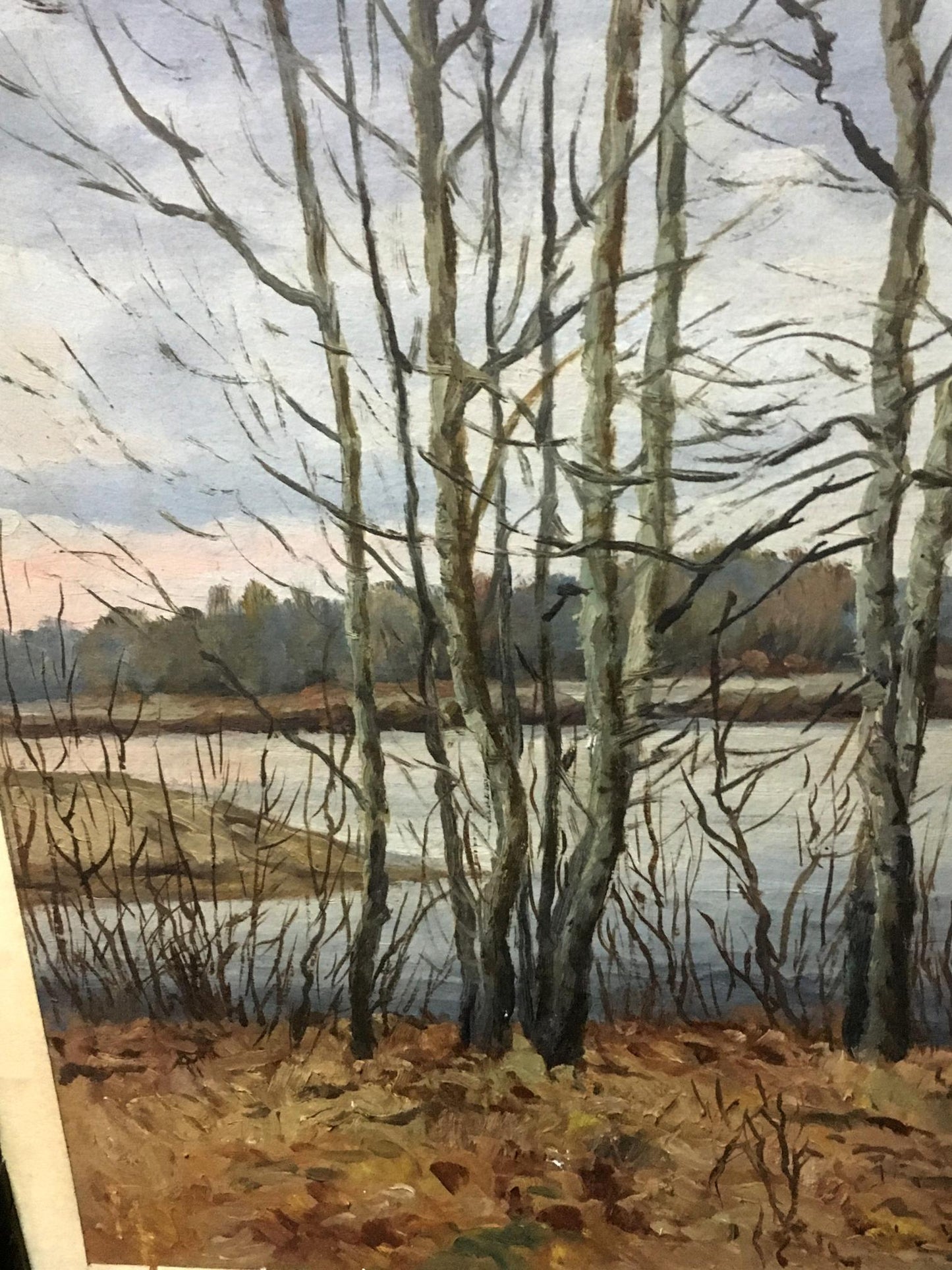 Oil painting Autumn in all its glory Alexander Georgievich Cherkass