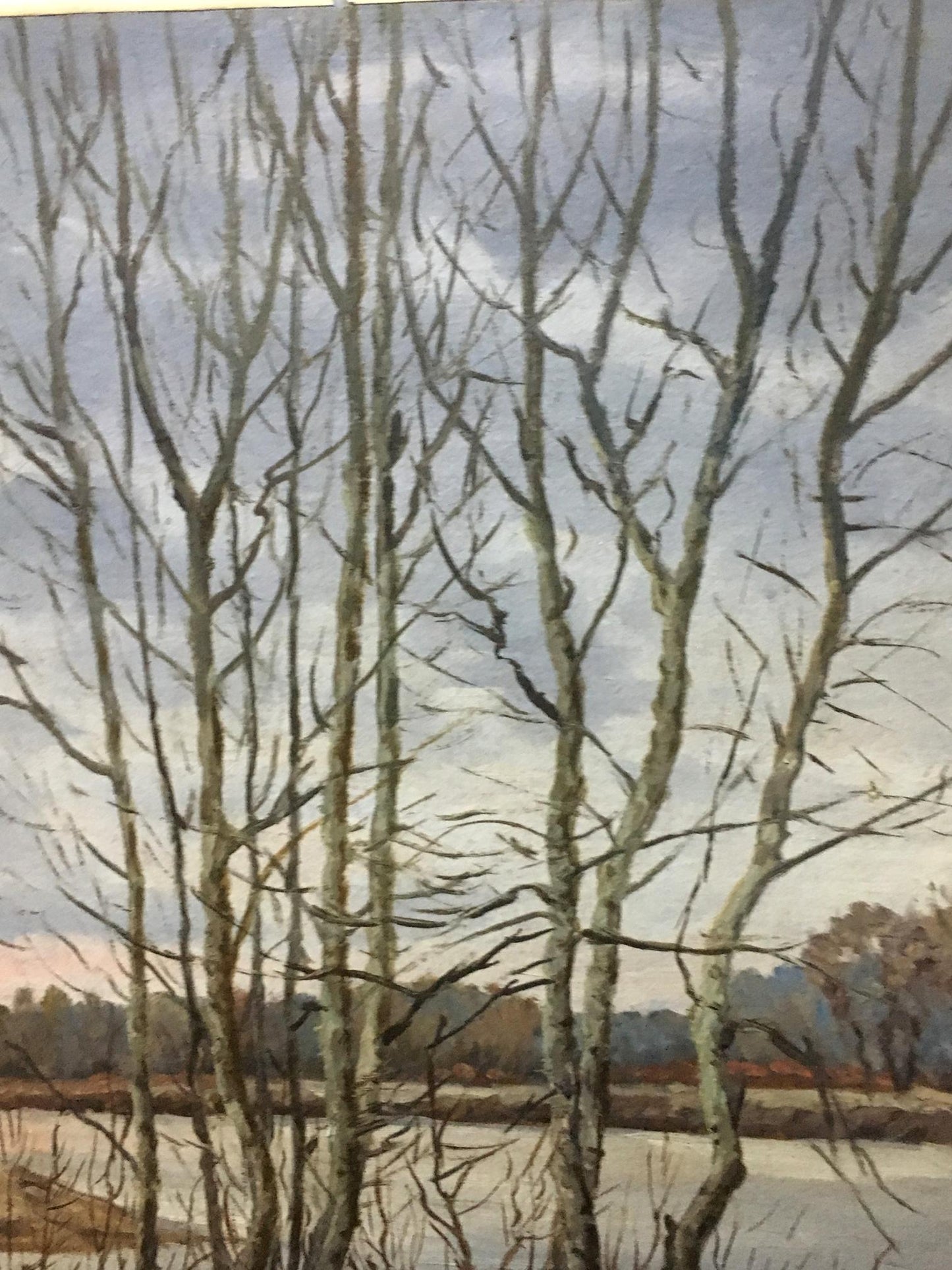 Oil painting Autumn in all its glory Alexander Georgievich Cherkass