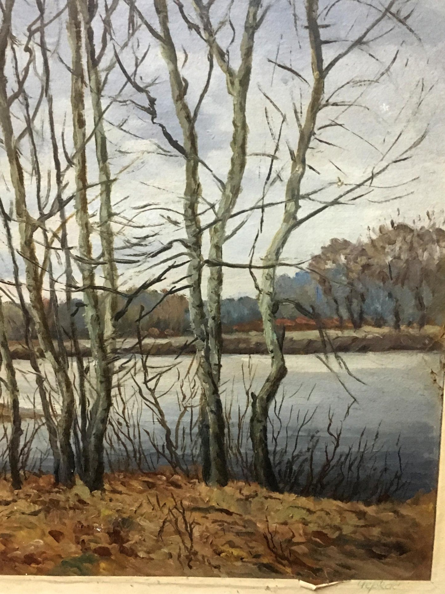 Oil painting Autumn in all its glory Alexander Georgievich Cherkass