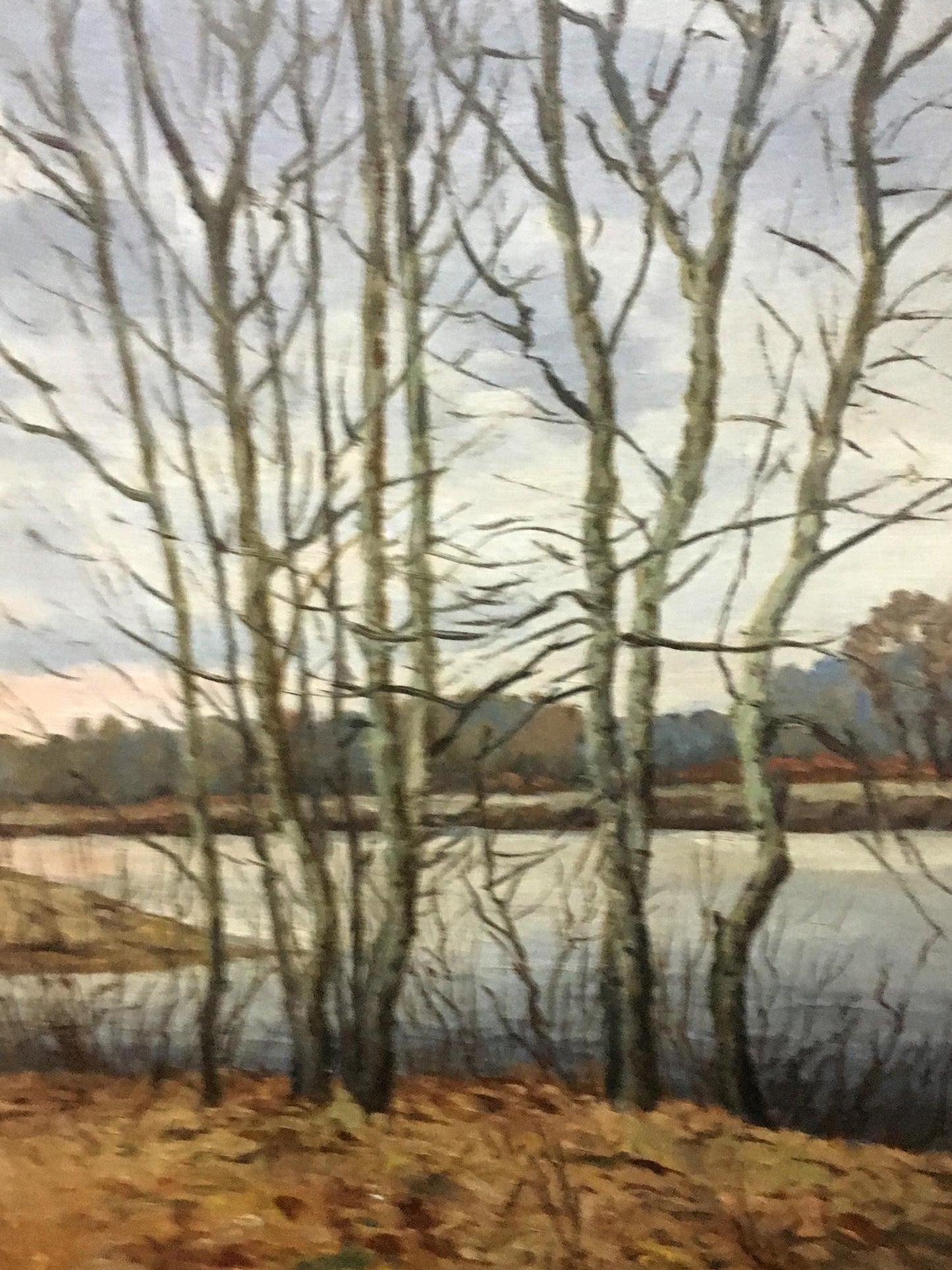 Oil painting Autumn in all its glory Alexander Georgievich Cherkass