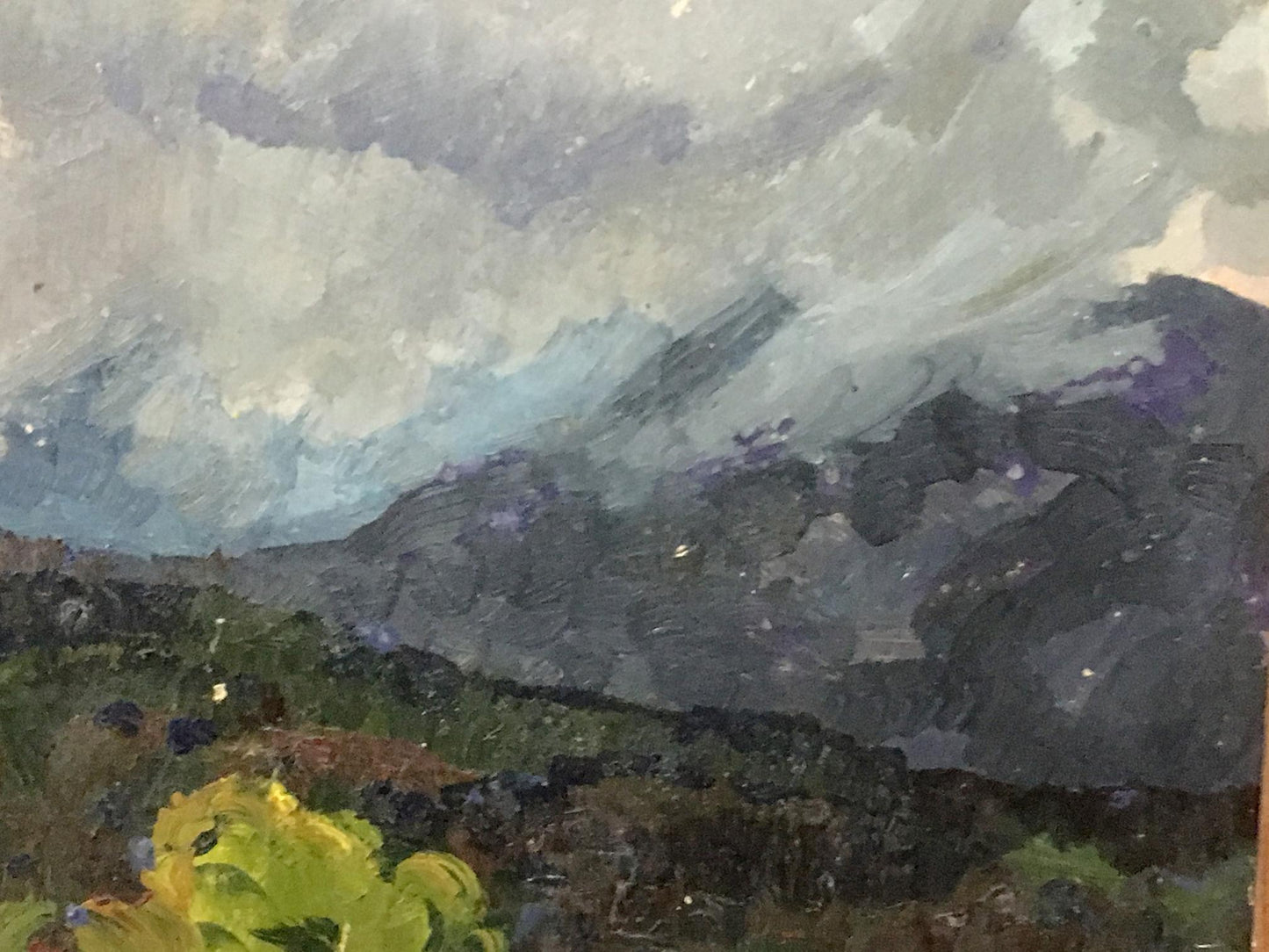 Oil painting Rain in the mountains Aleksandrochkin Yuri Mikhailovich