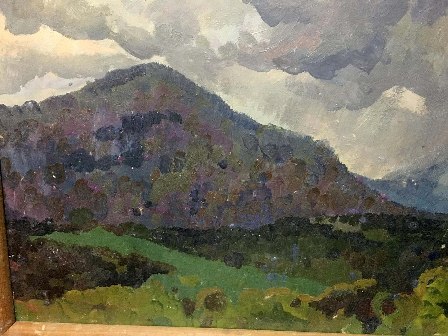 Oil painting Rain in the mountains Aleksandrochkin Yuri Mikhailovich