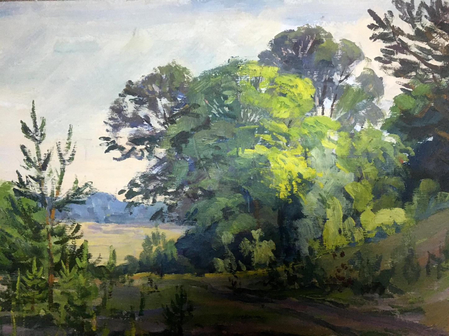 Oil painting Forest Lednev Eduard Dmitrievich