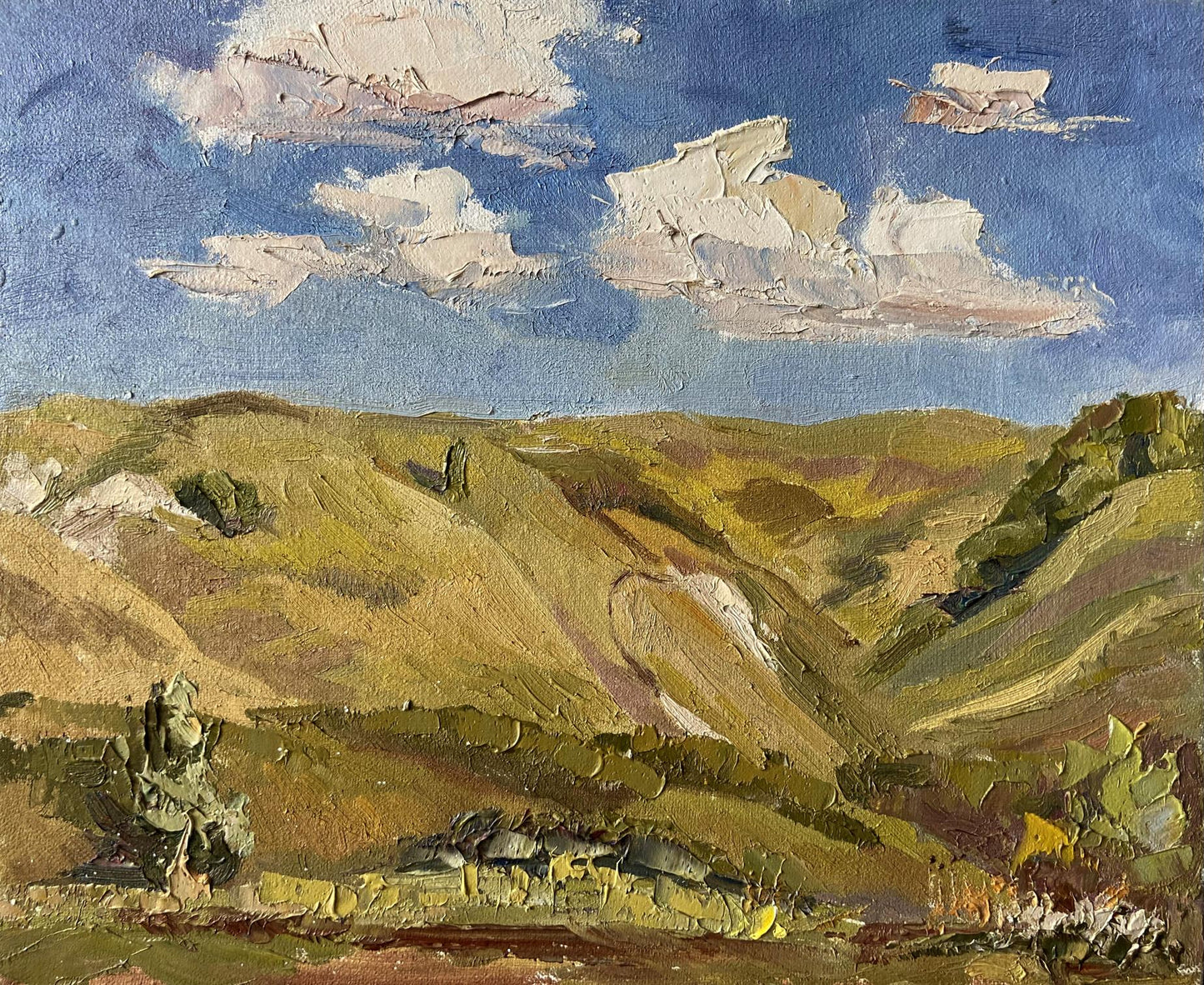 Oil painting It's sunny in the mountains Gaponchenko Ivan Ivanovich