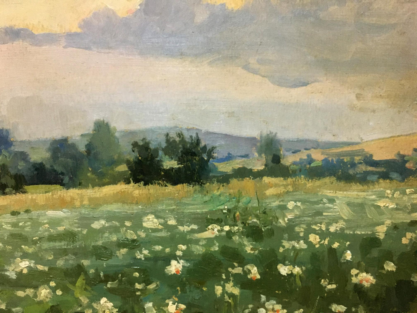 Oil painting Plantation