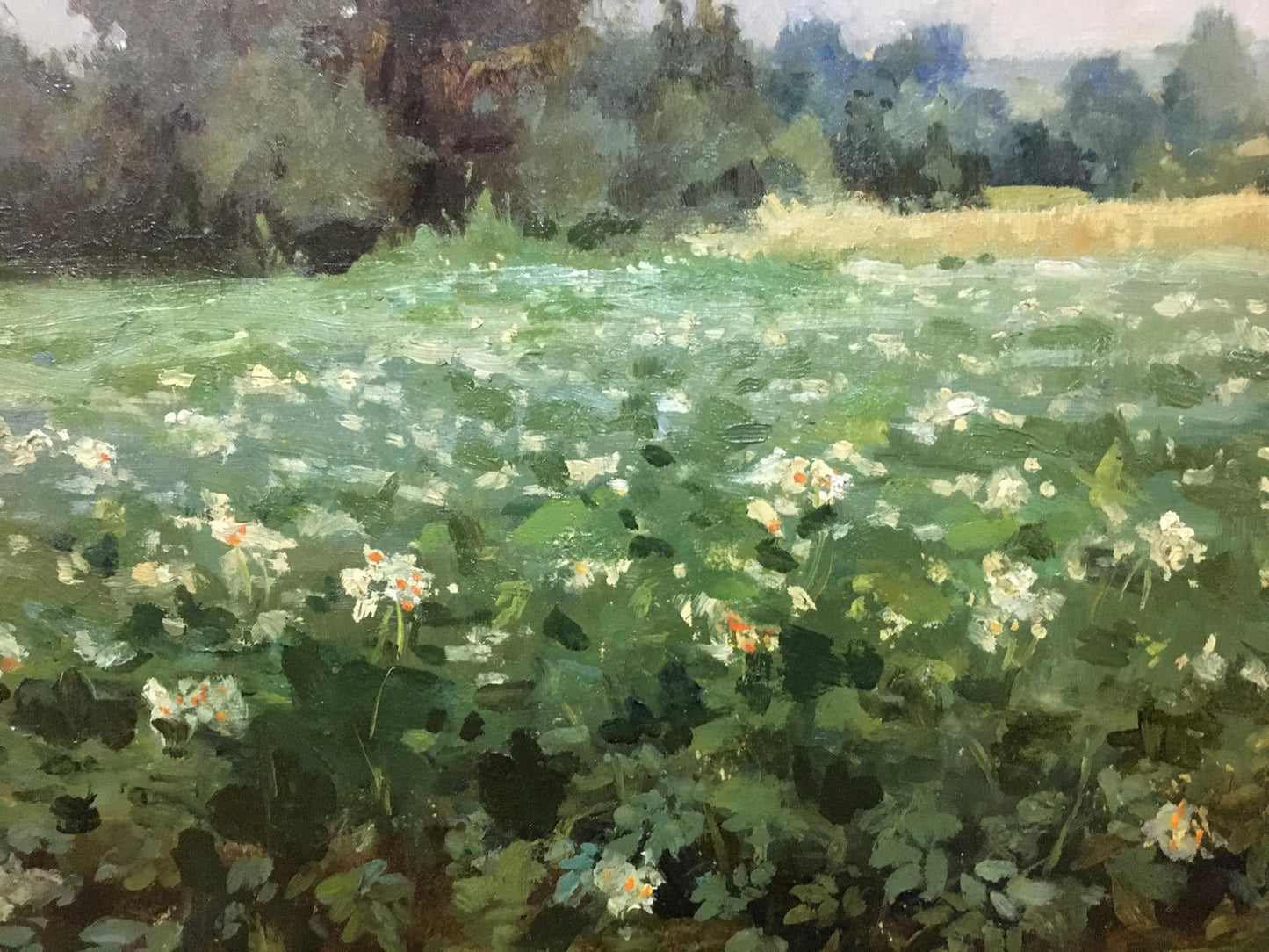 Oil painting Plantation