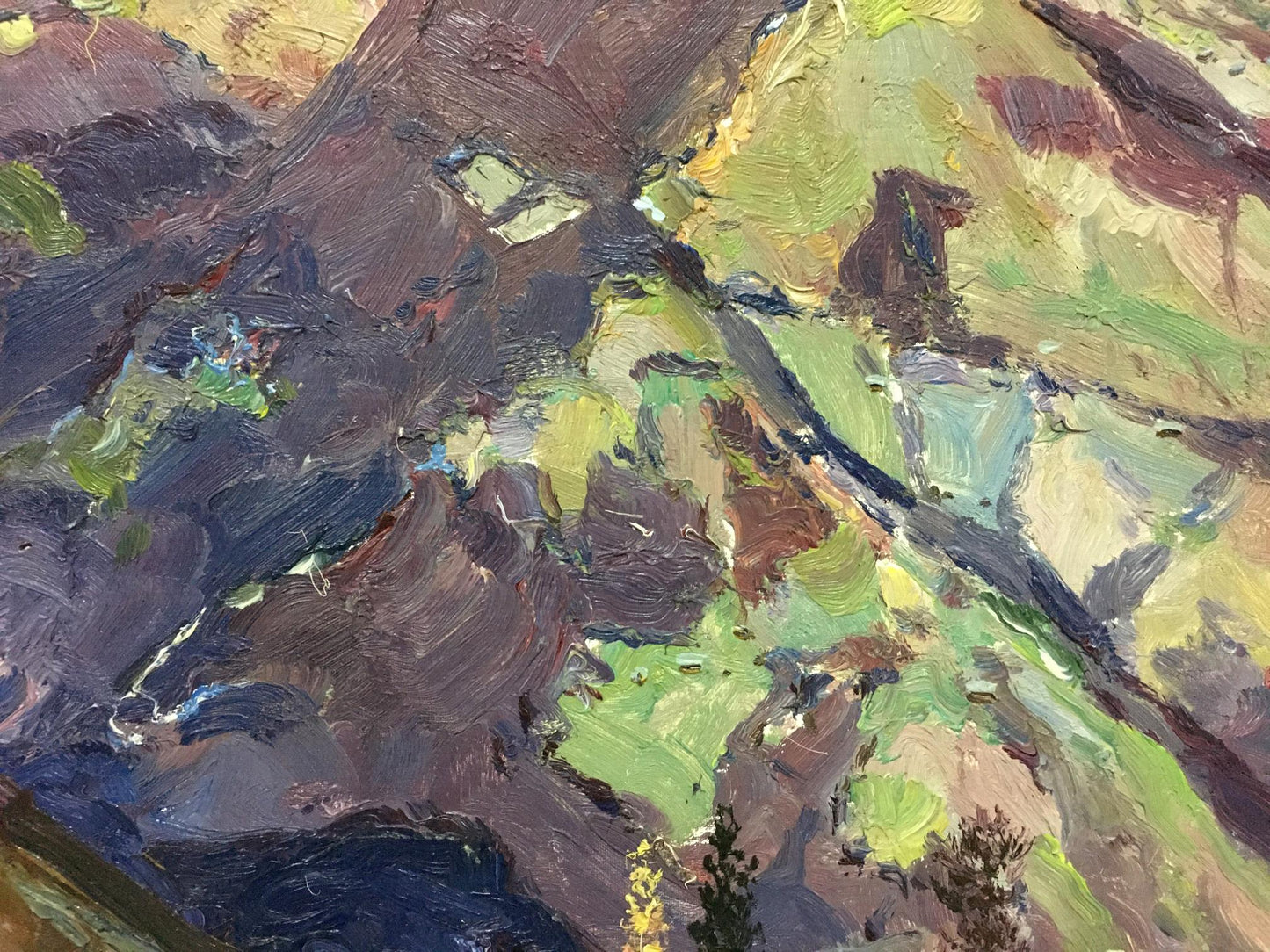 Oil painting The mountains Sidoruk Vladimir Fedorovich