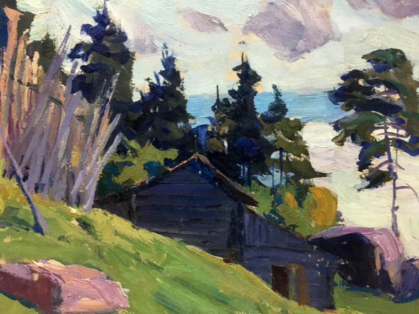 Oil painting Cloudy day in the village Anatoly Fomin