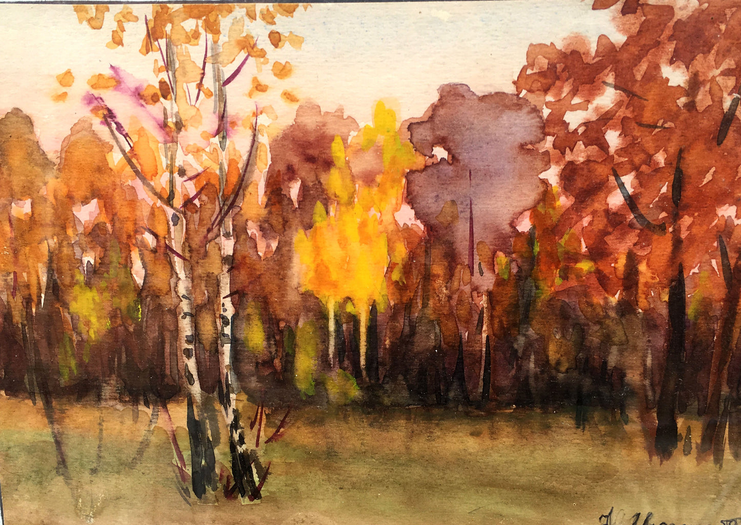 Oil painting Forest Ivan Kirillovich Zyupka
