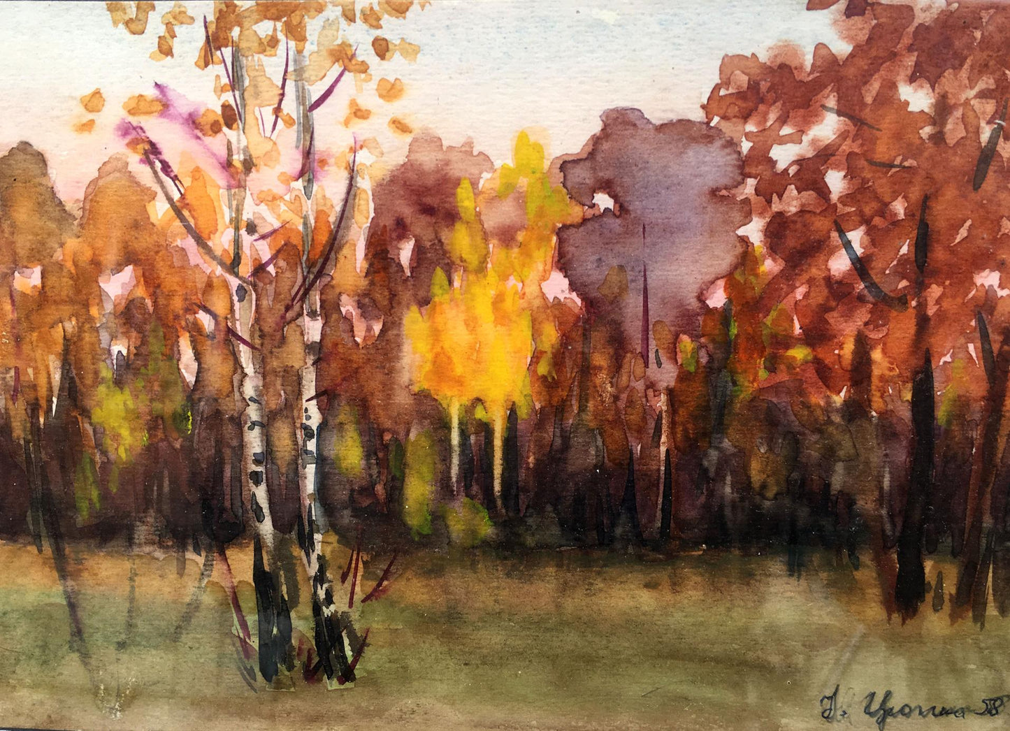 Oil painting Forest Ivan Kirillovich Zyupka