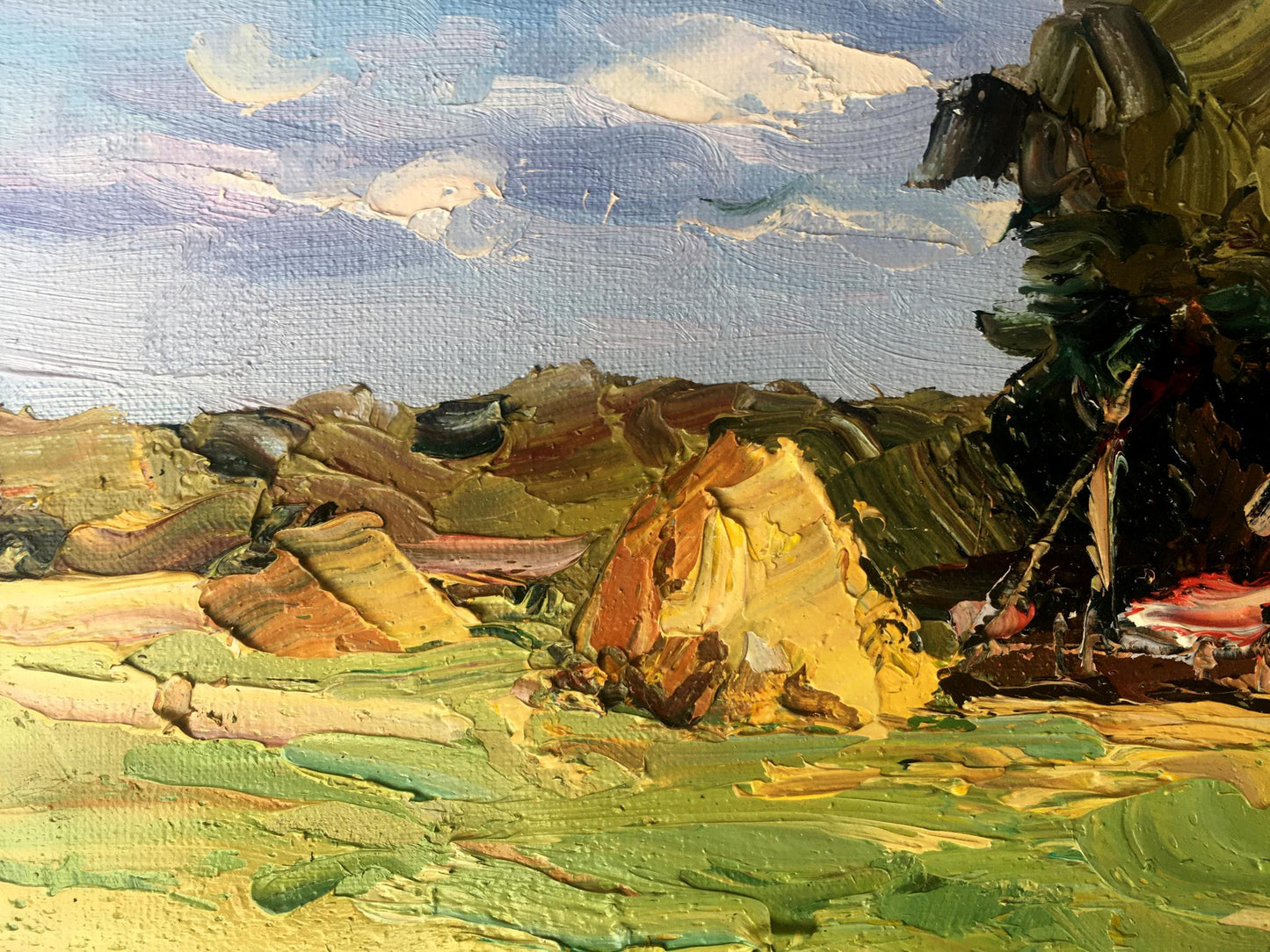 Evening rural landscape