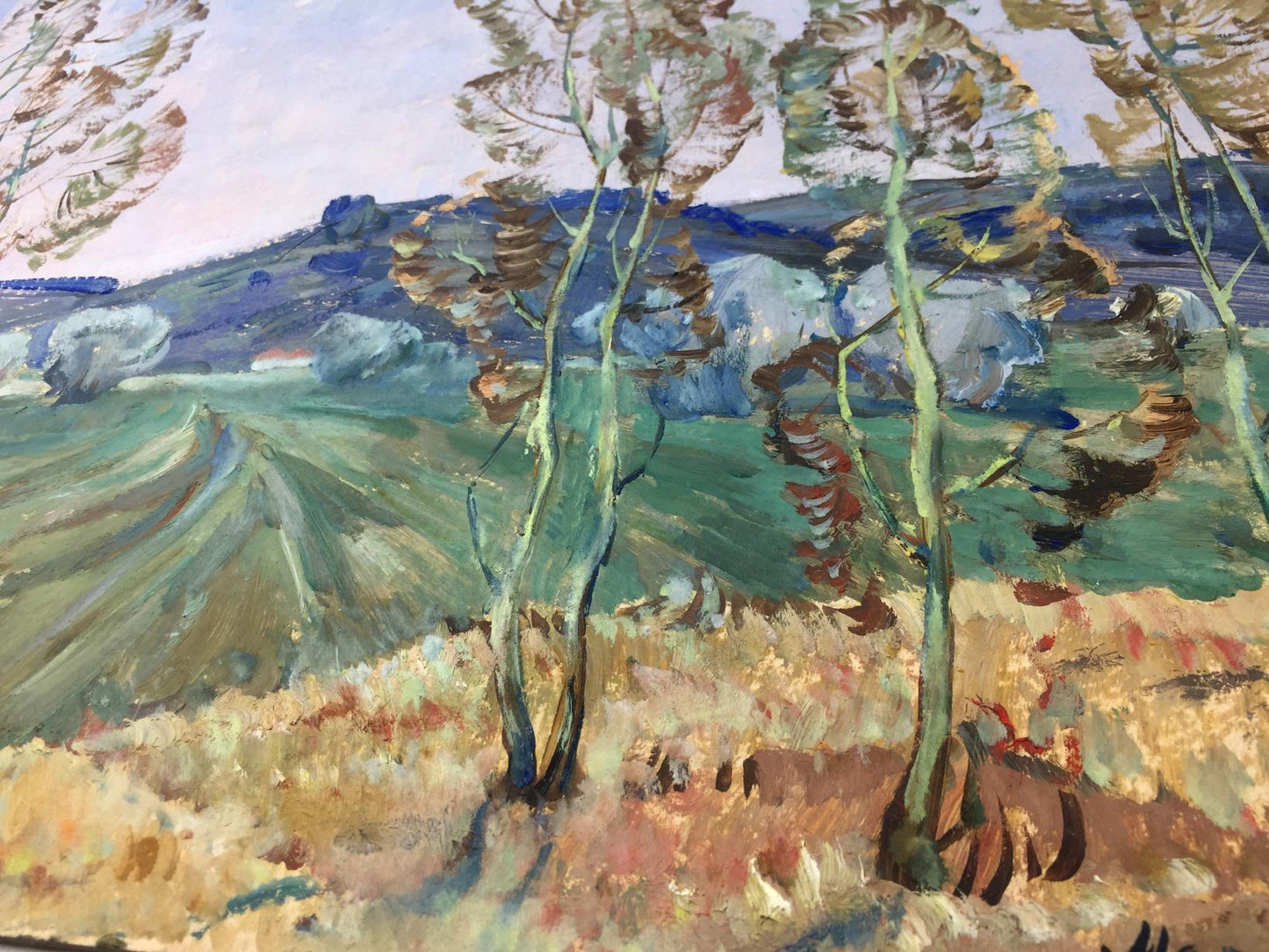 Oil painting Spring Deregus Marina Mikhailovna