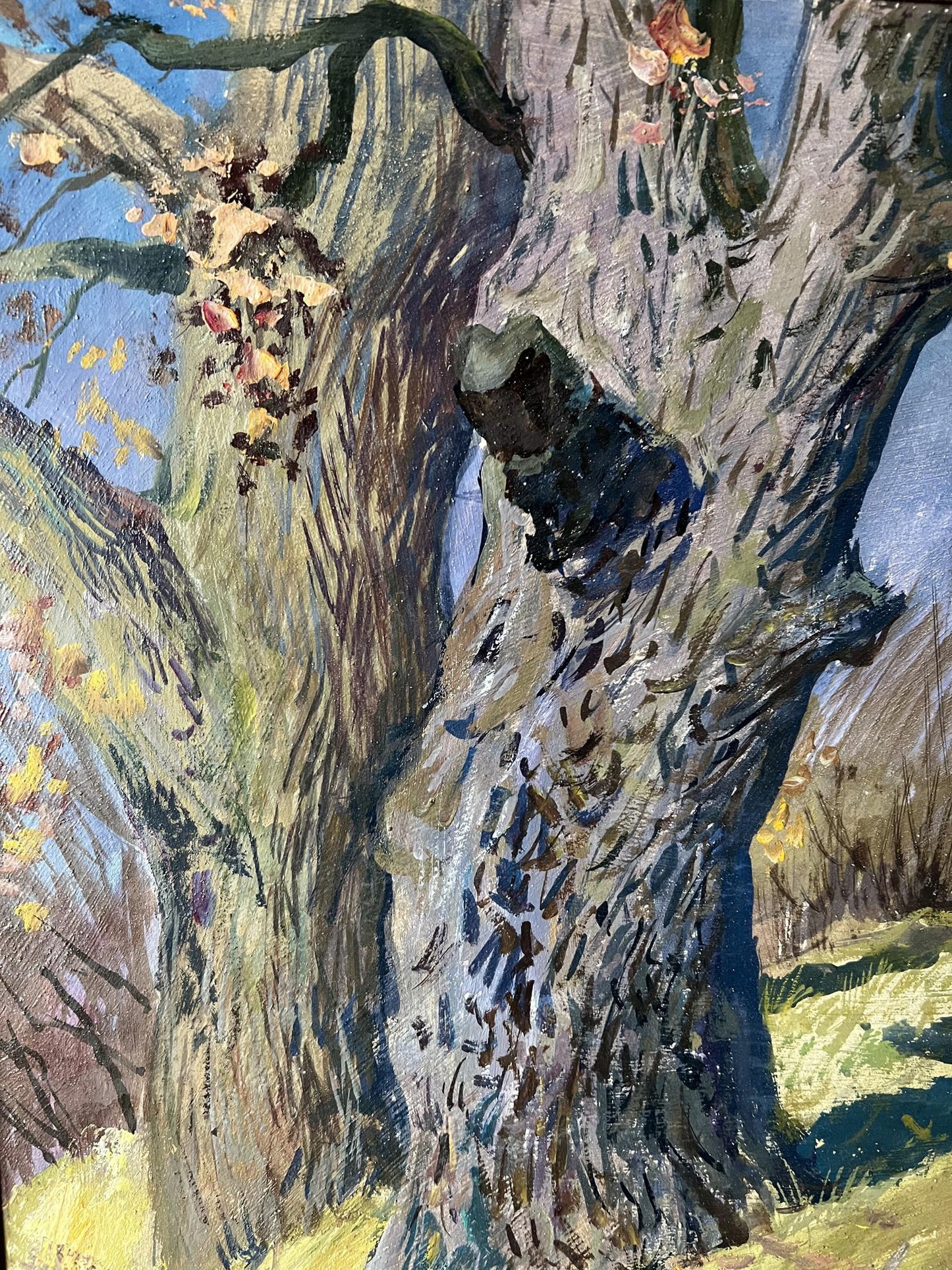 Oil painting oaks