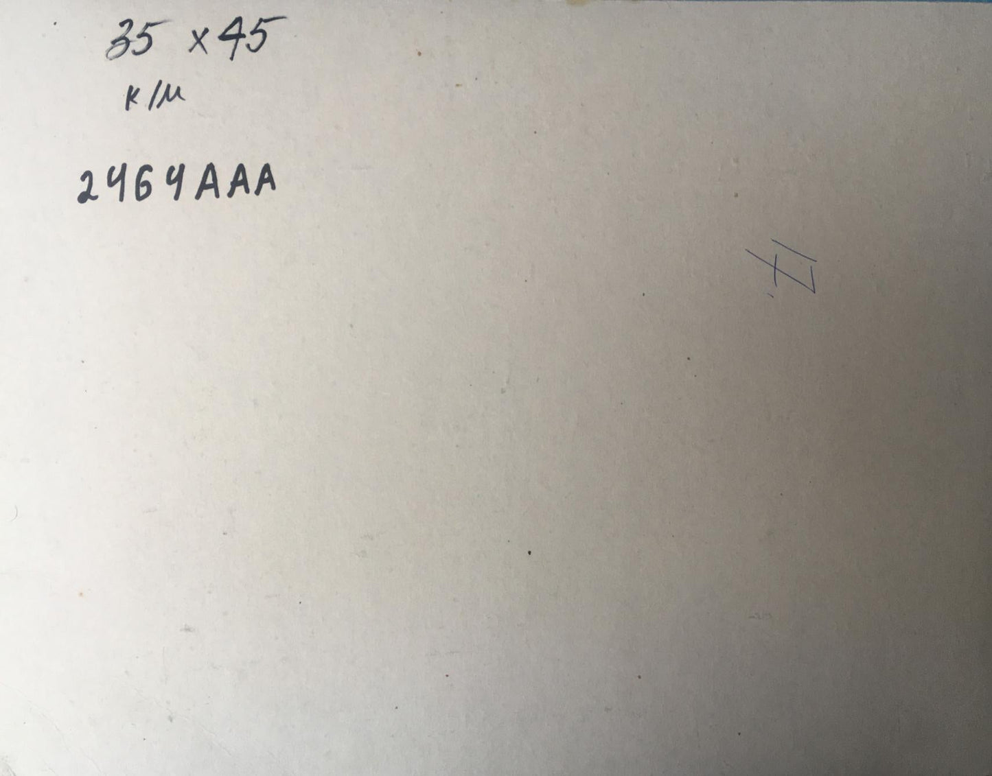 Peter Dobrev's oil painting showcasing a walk amidst the trees