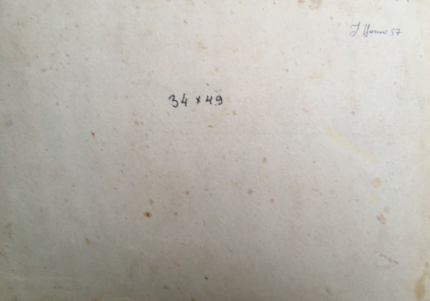 A swampy landscape is captured in Ivan Kirillovich Tsyupka's oil painting