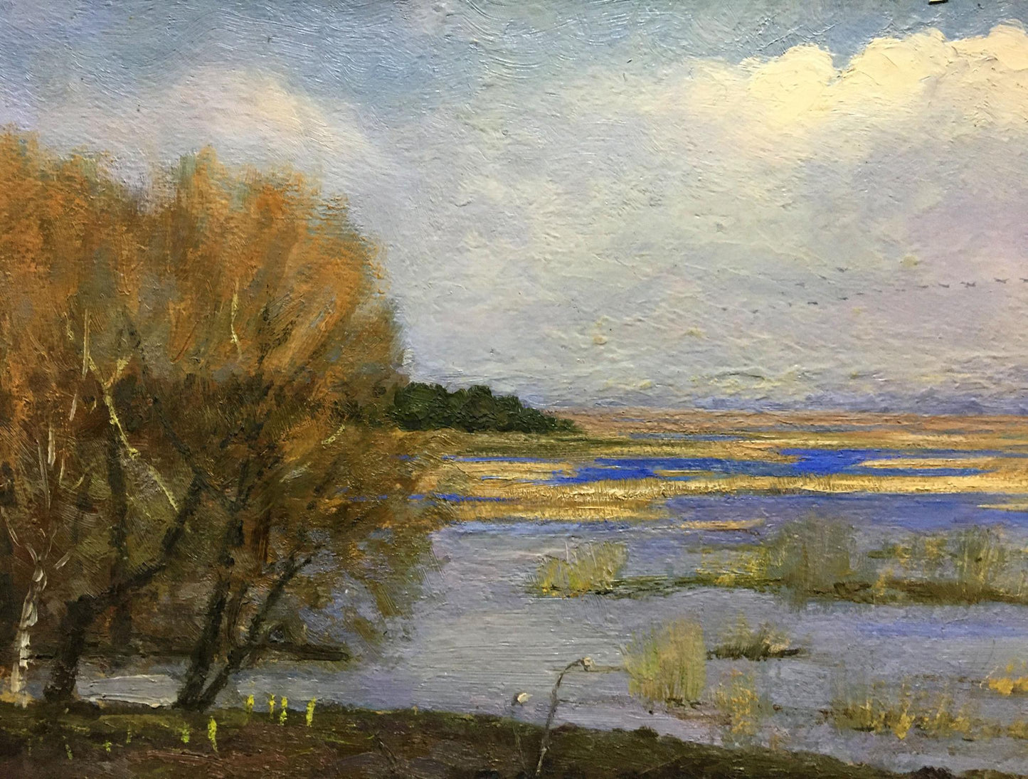 Oil painting Spring flood Tsyupka Ivan Kirillovich