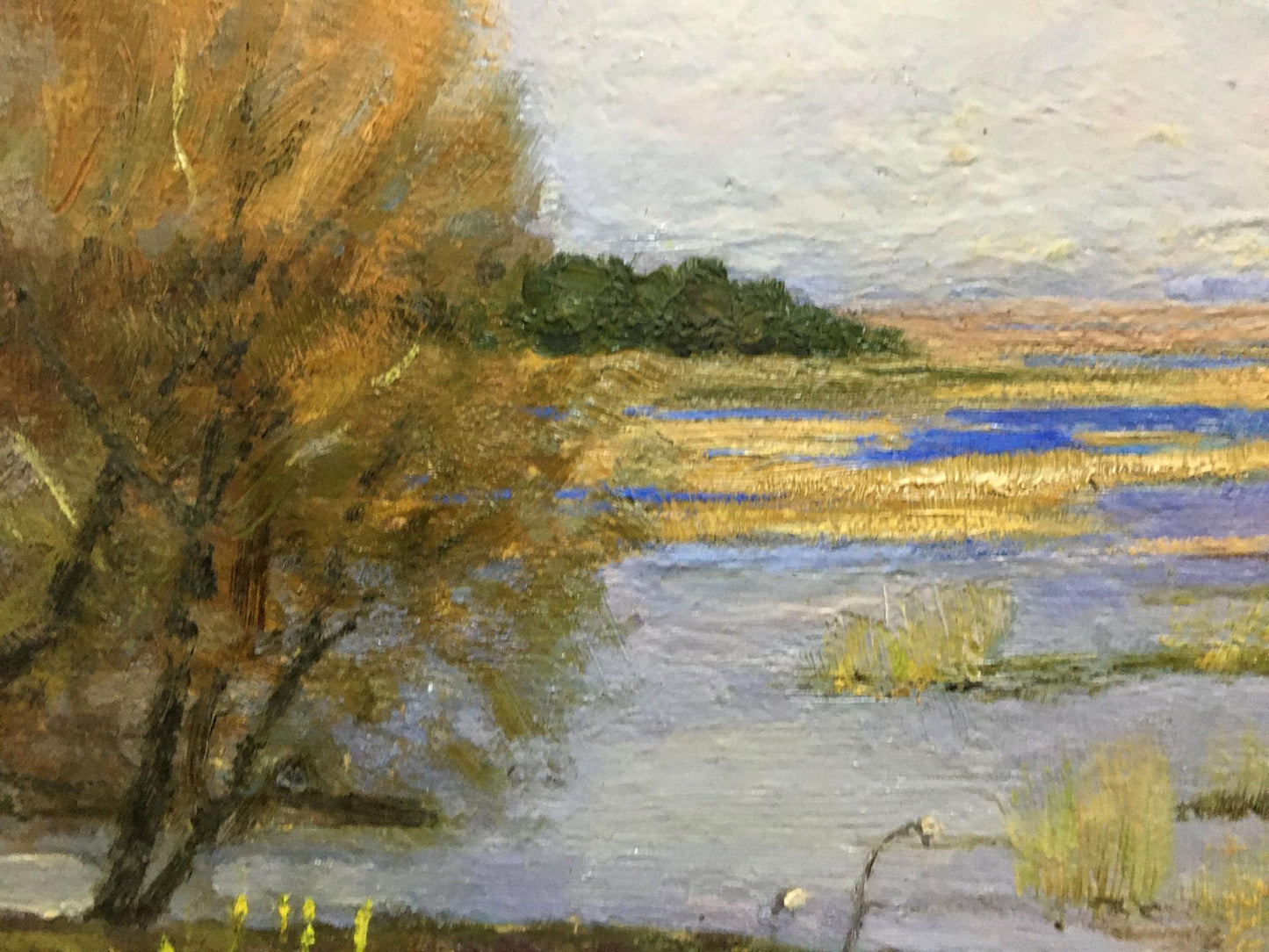 Oil painting Spring flood Tsyupka Ivan Kirillovich