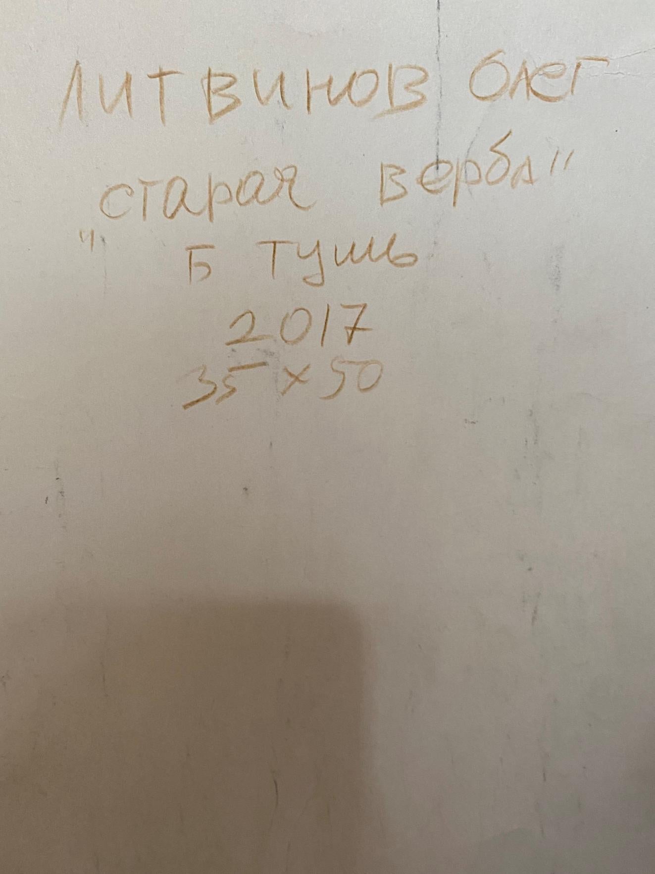 Ink, painting Old willow Litvinov Oleg Arkad'yevich