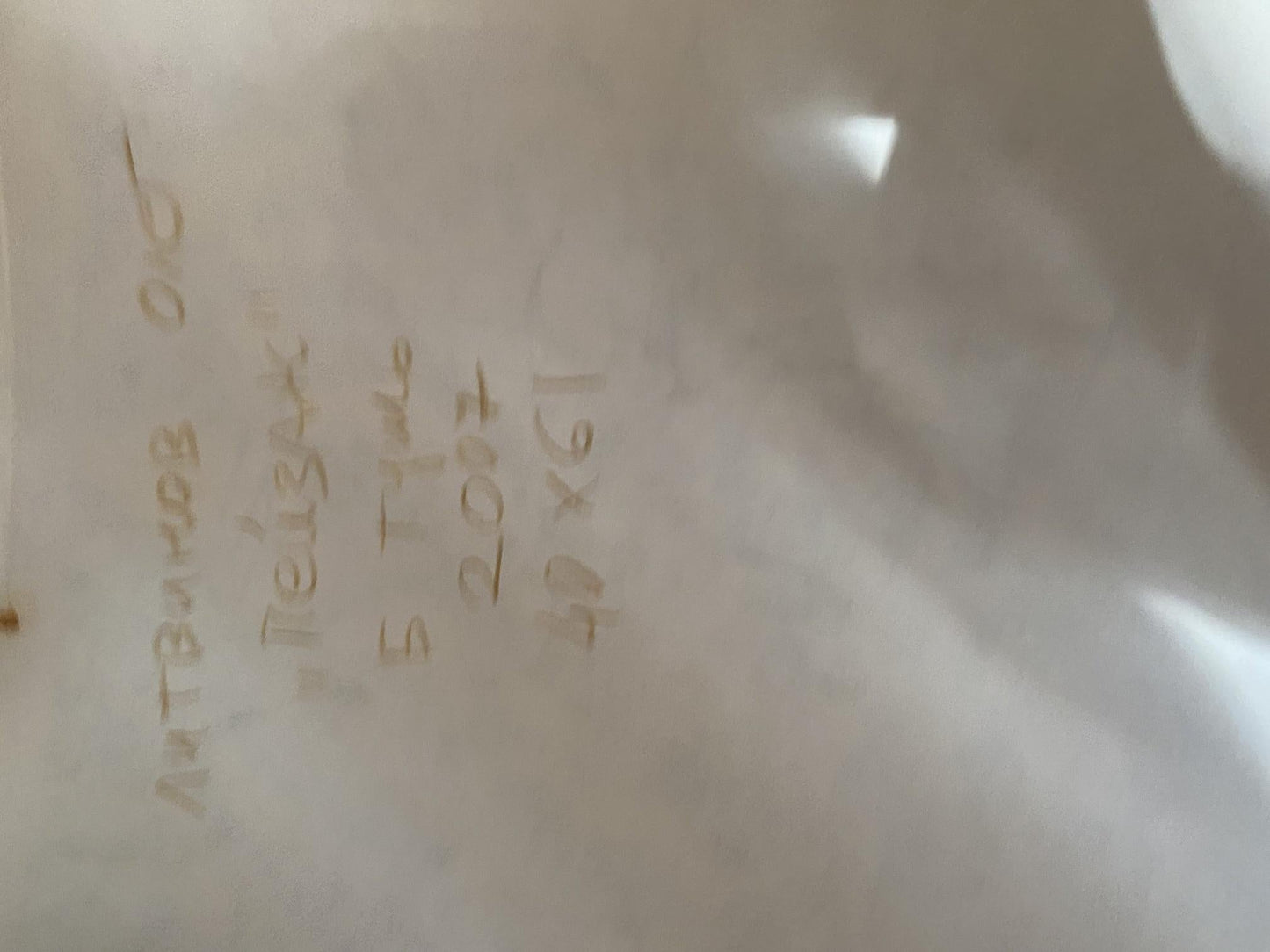 Ink painting Farmhouse in the village Oleg Litvinov