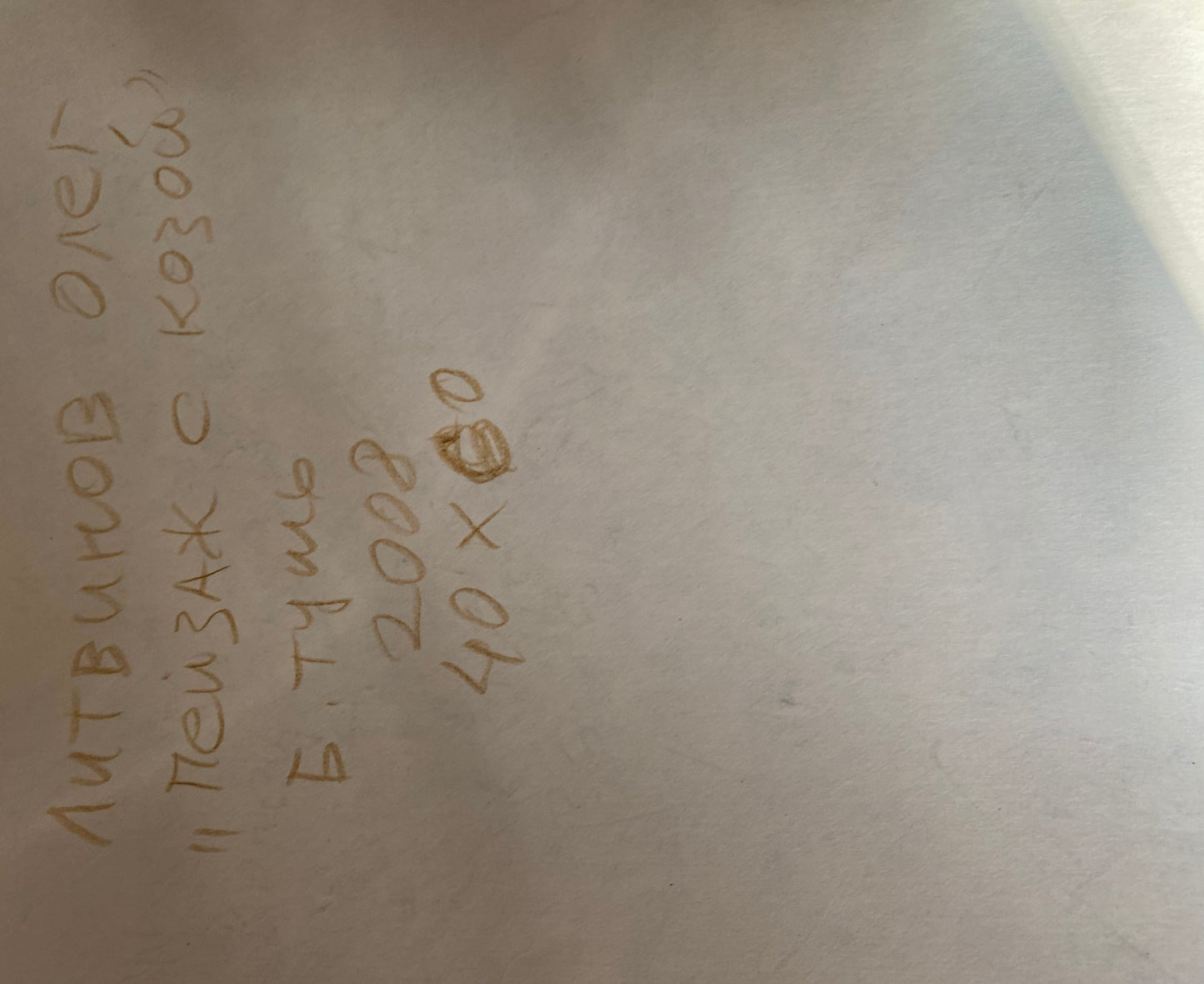 Ink painting Country holiday Oleg Litvinov