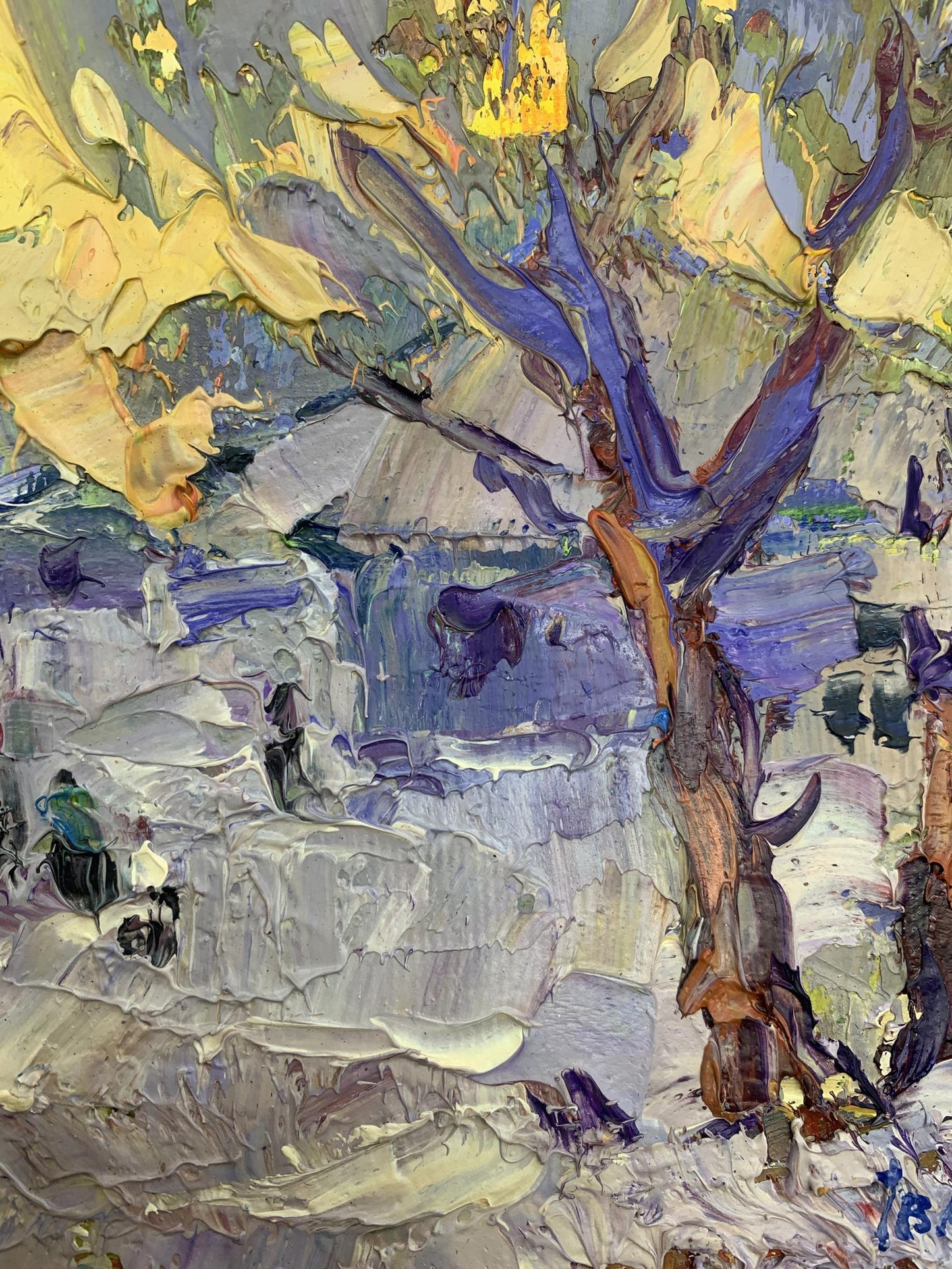 Winter Winter Landscape