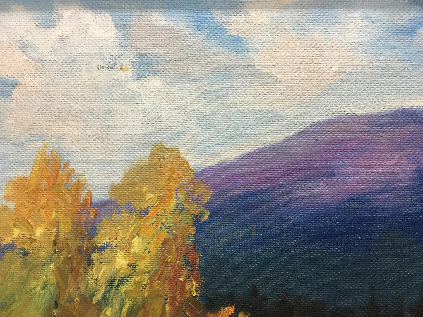 Oil painting Autumn in the mountains Unknown artist
