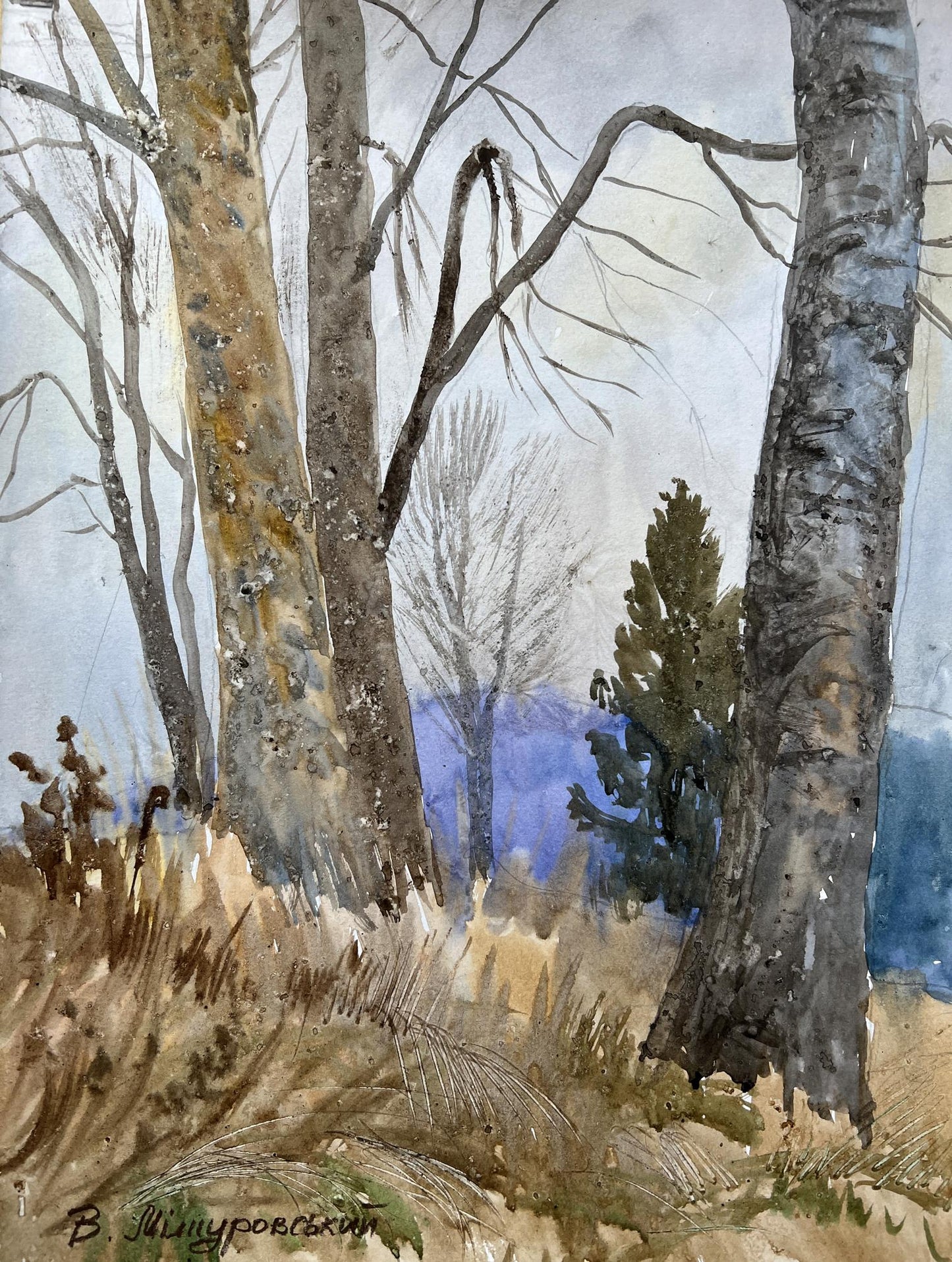 Watercolor painting Autumn trunks V. Mishurovsky