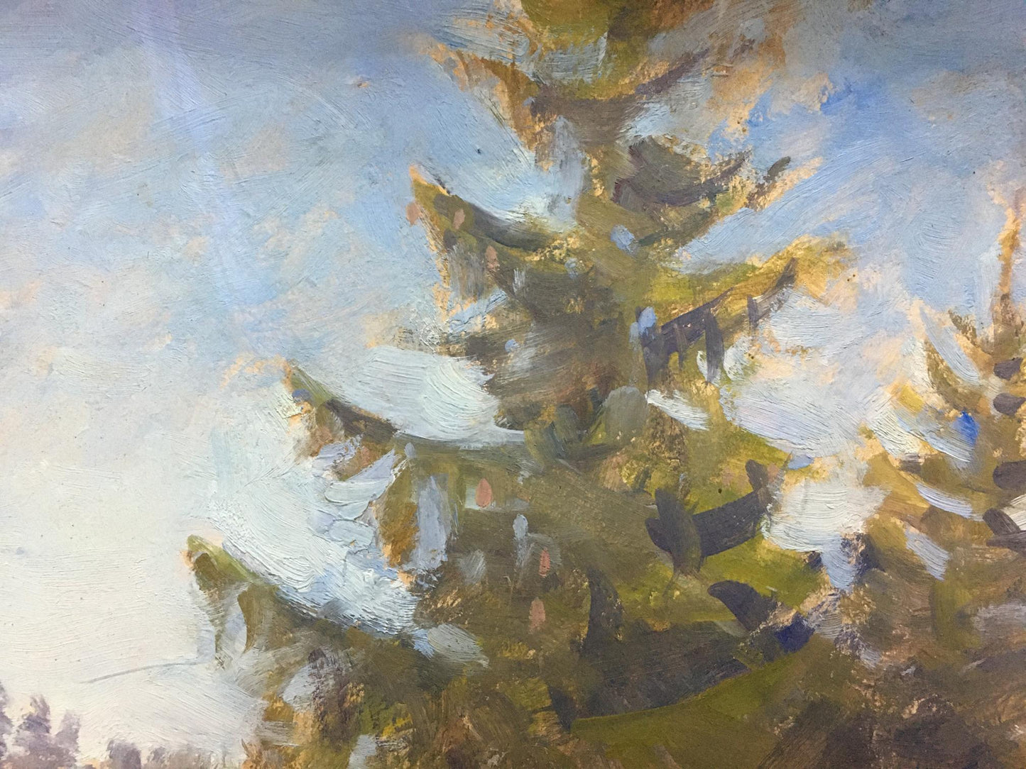 Oil painting Winter came Elena Alekseevna Birulya